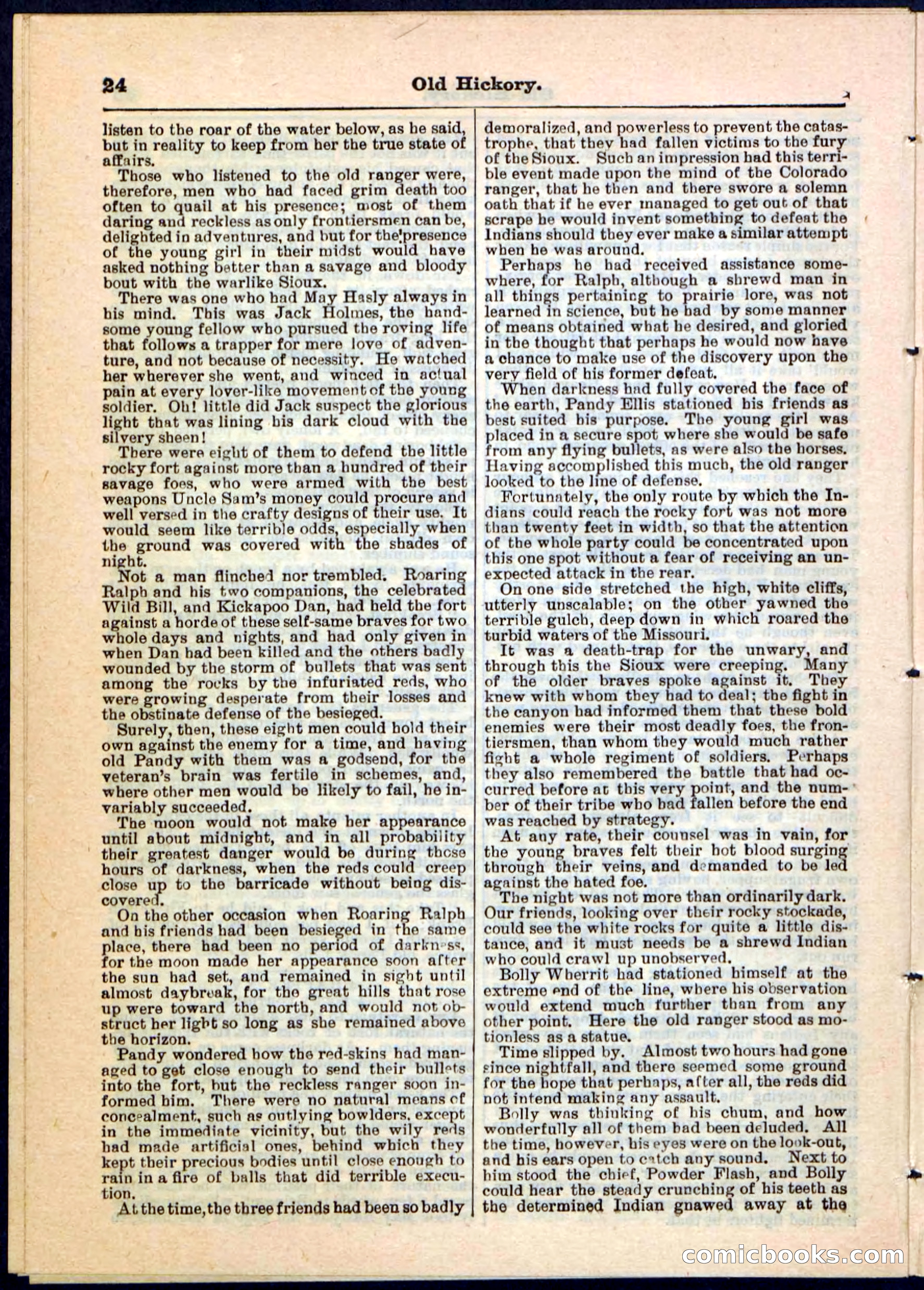Beadle's Pocket Library, Vol. IV, No. 43 — page 24 of 32