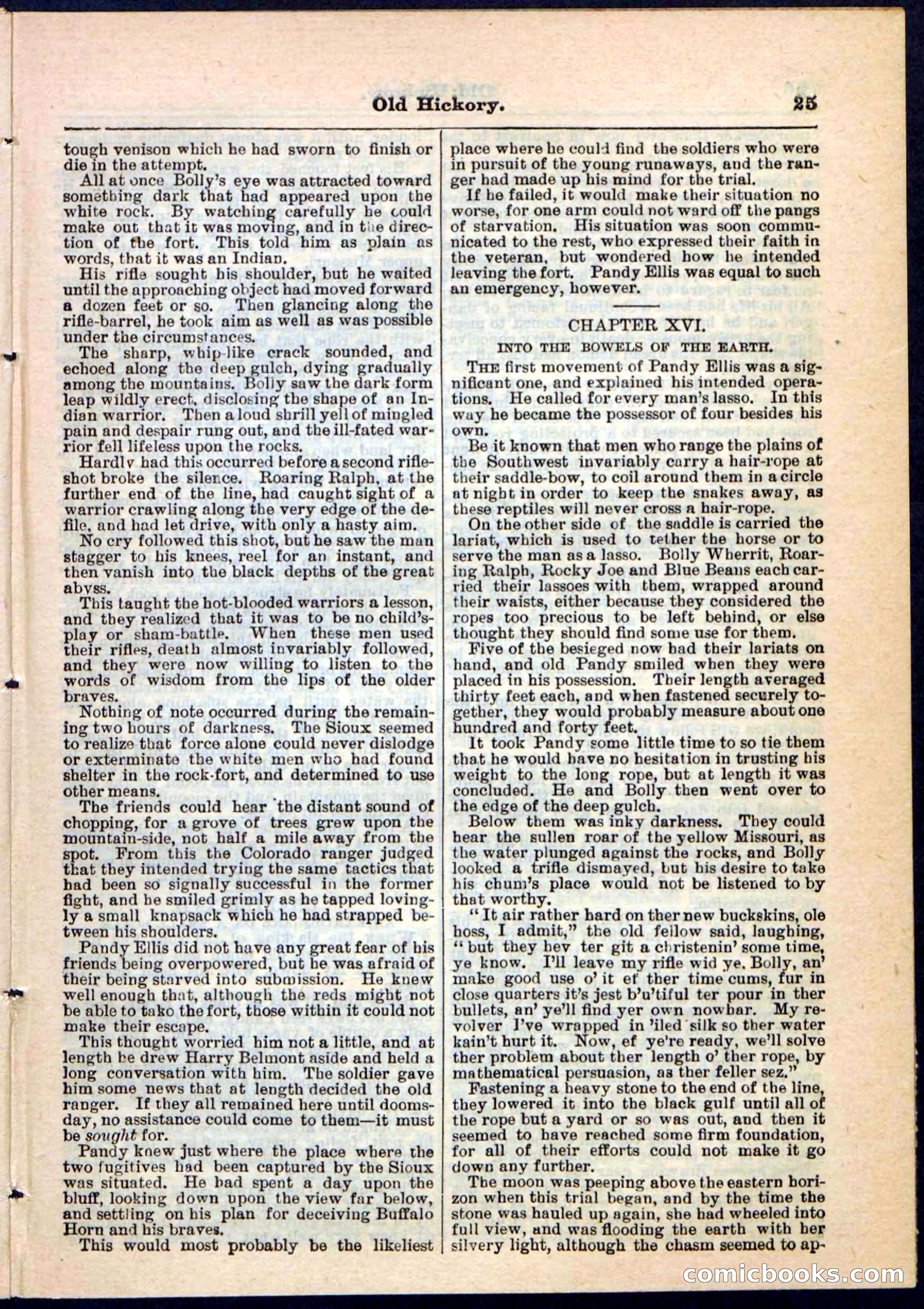 Beadle's Pocket Library, Vol. IV, No. 43 — page 25 of 32