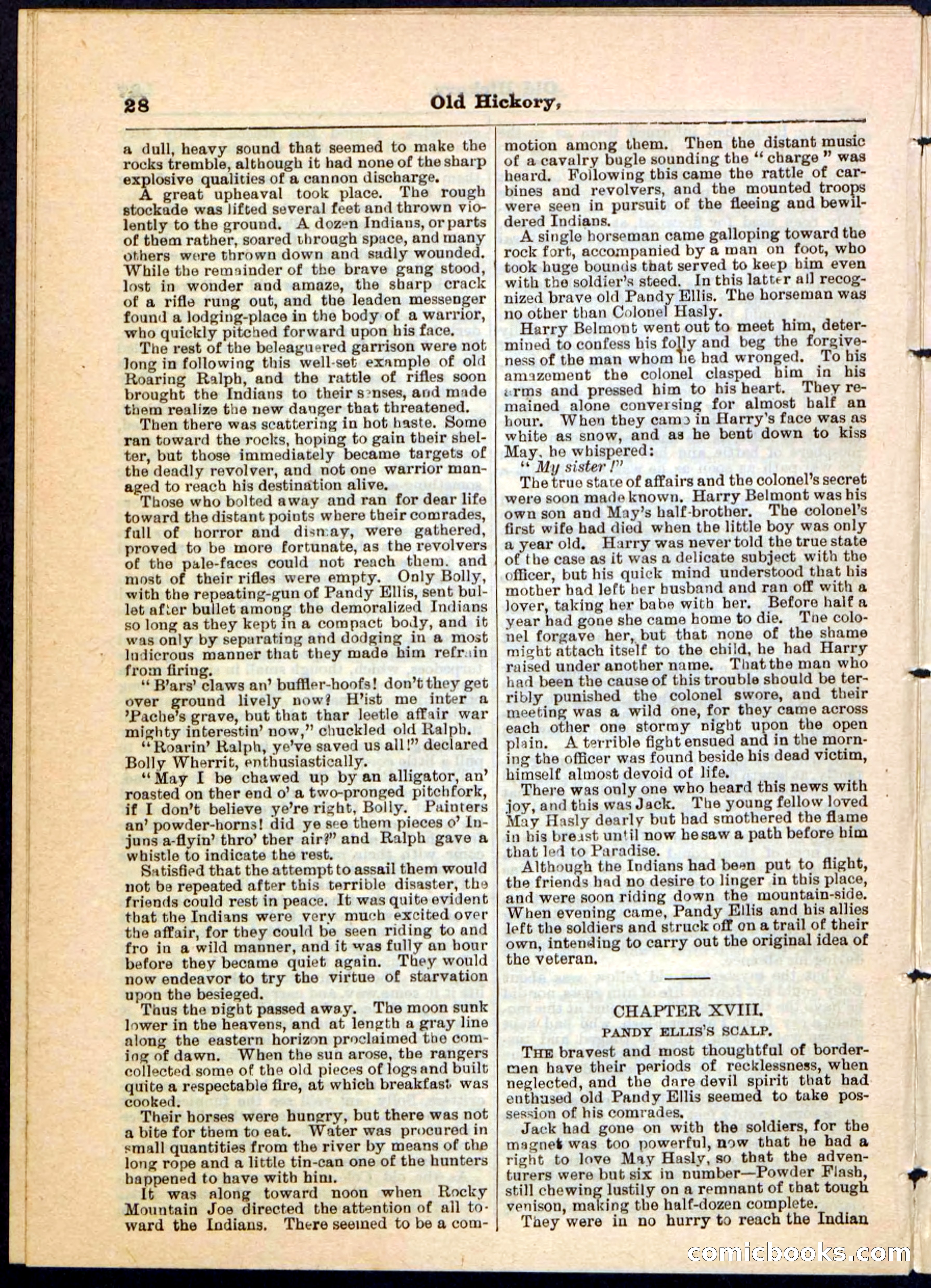 Beadle's Pocket Library, Vol. IV, No. 43 — page 28 of 32