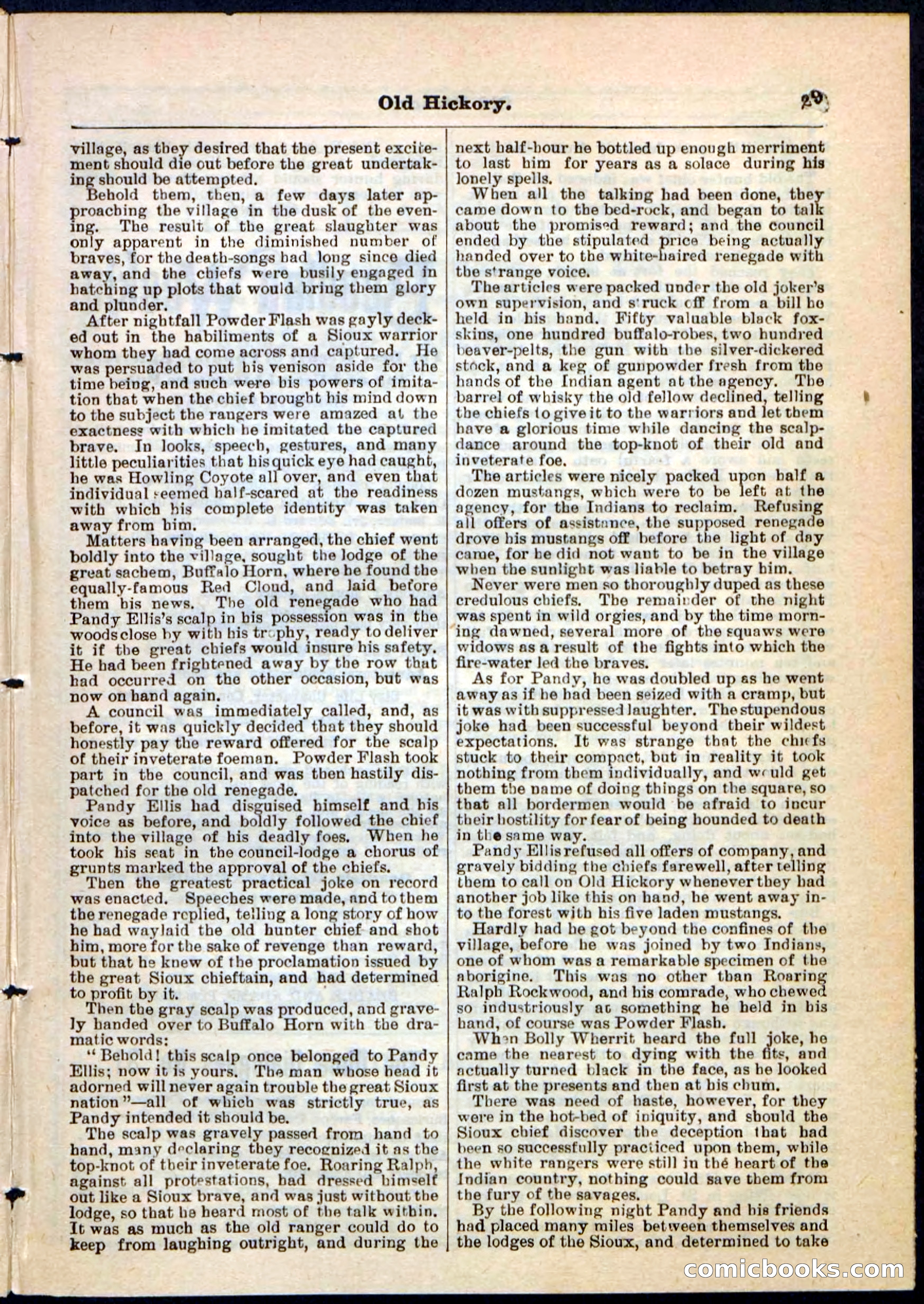 Beadle's Pocket Library, Vol. IV, No. 43 — page 29 of 32