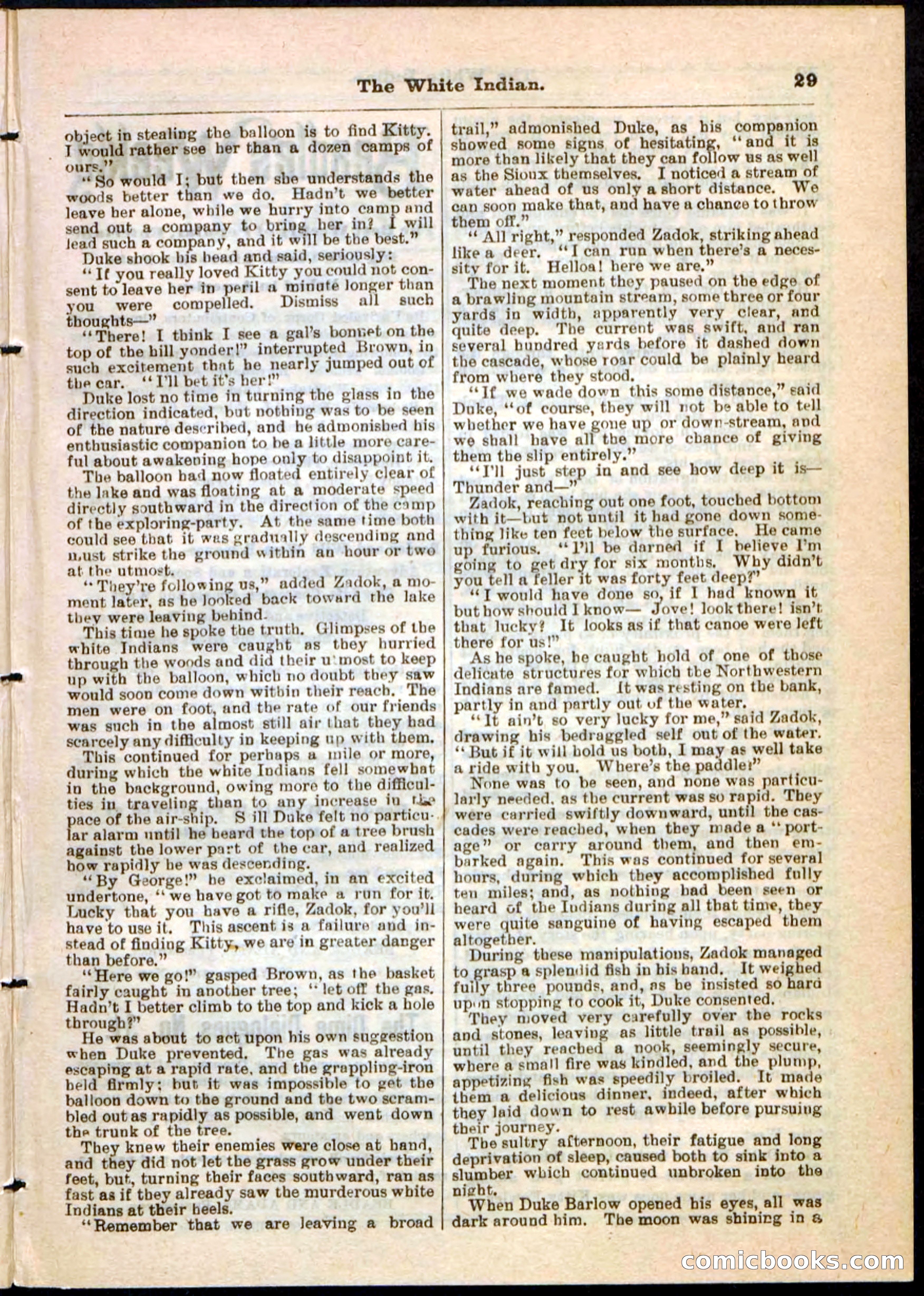Beadle's Pocket Library No. 44 — page 29 of 32