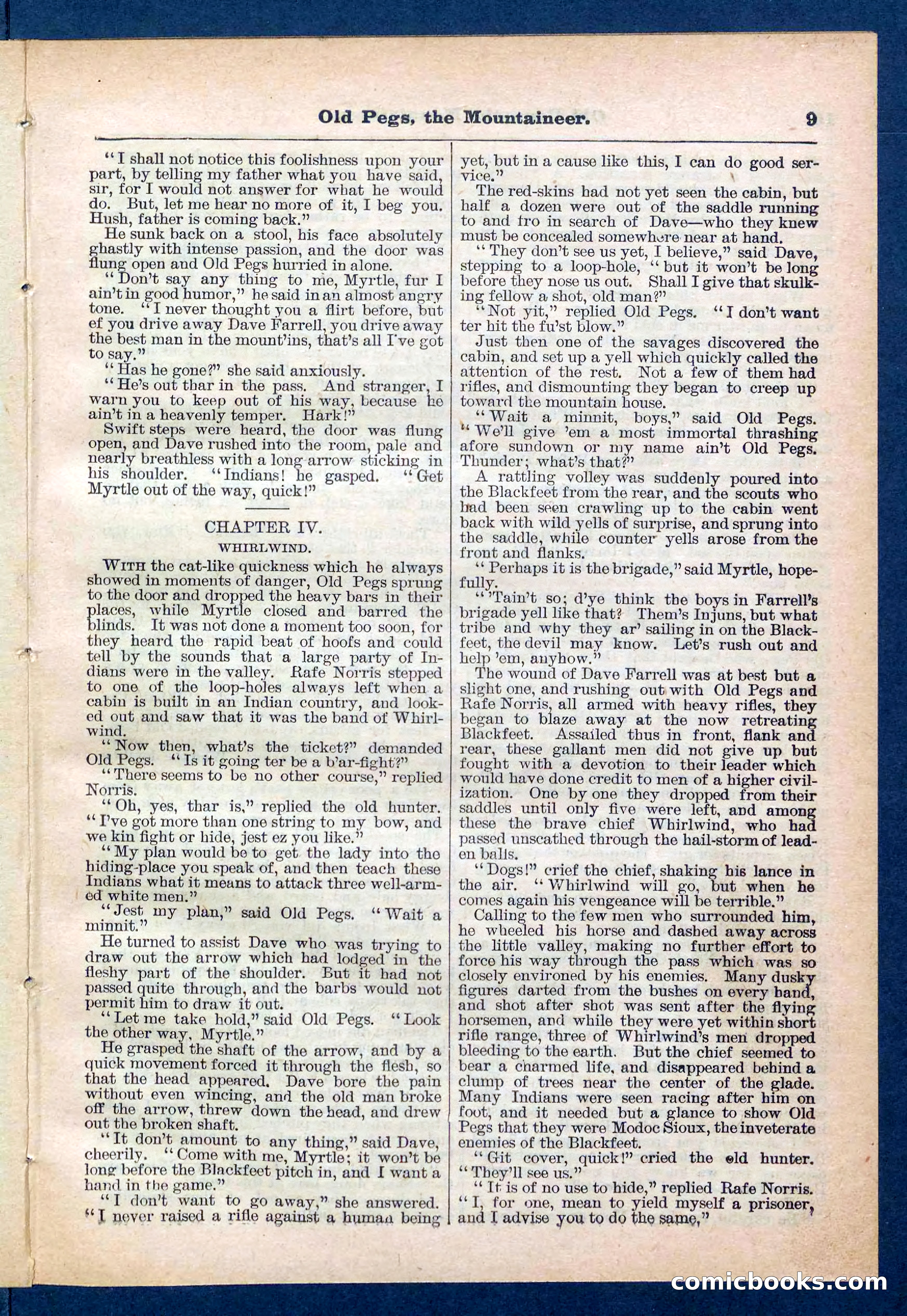 Beadle's Pocket Library No. 445 — page 9 of 32