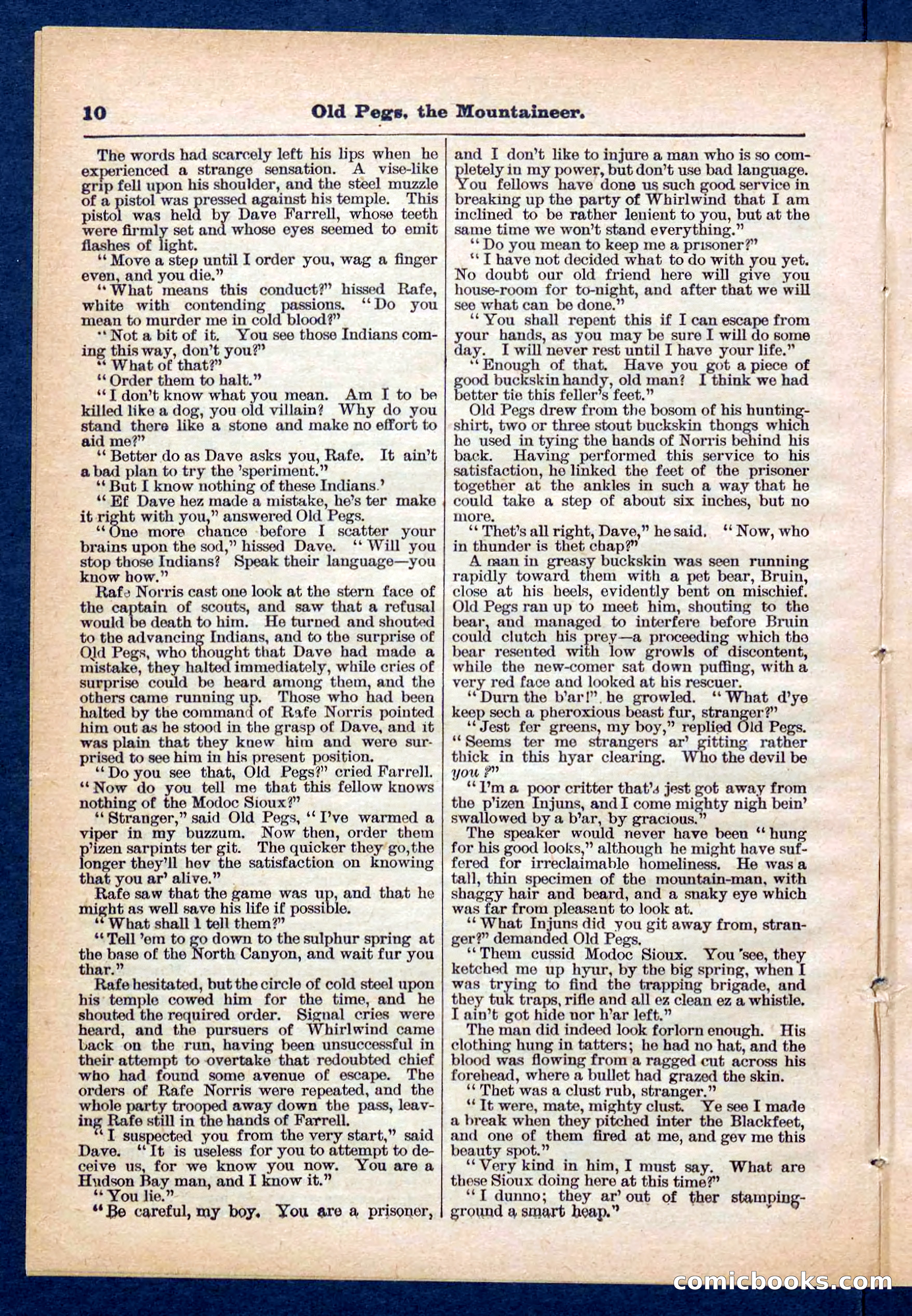 Beadle's Pocket Library No. 445 — page 10 of 32