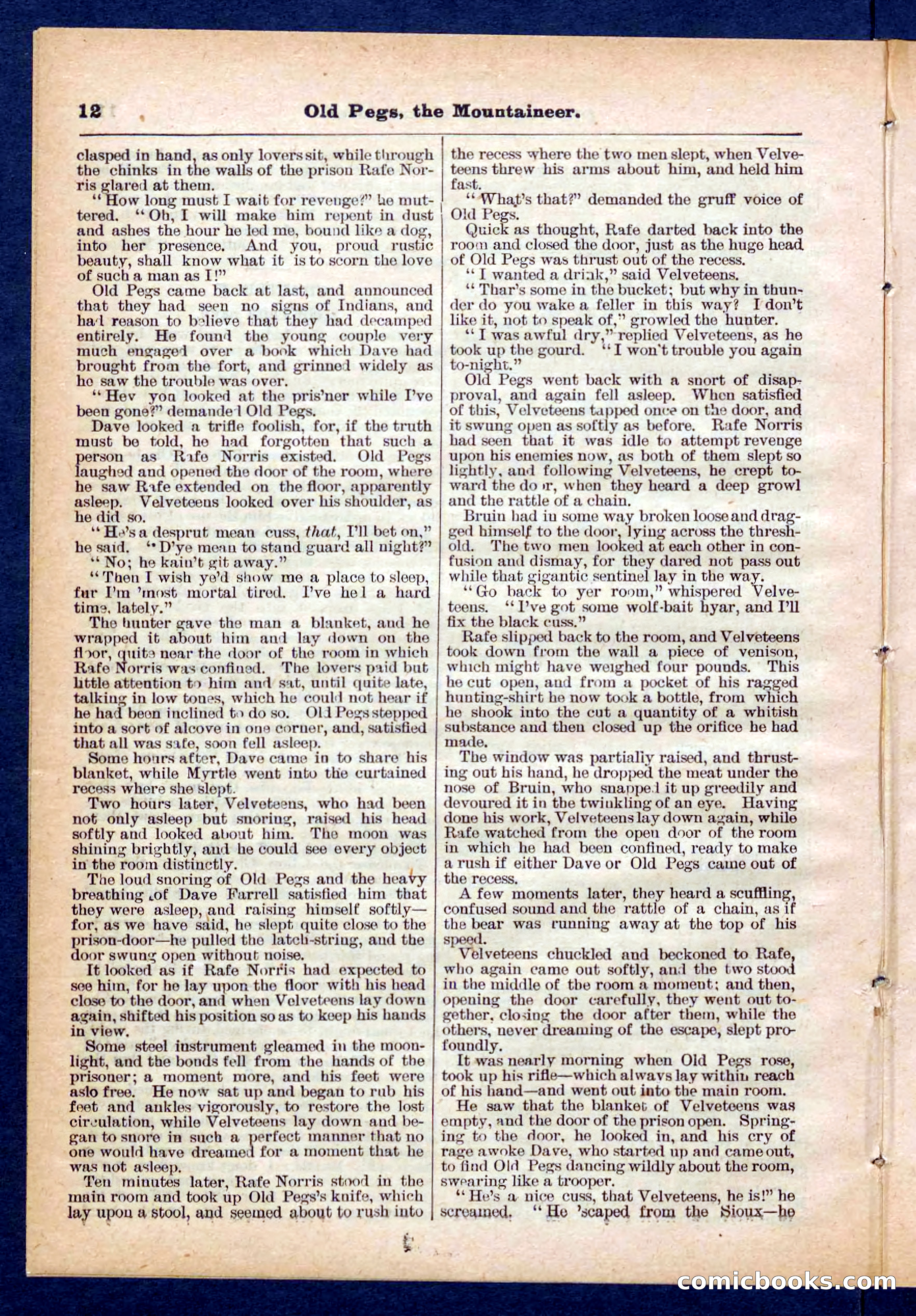 Beadle's Pocket Library No. 445 — page 12 of 32