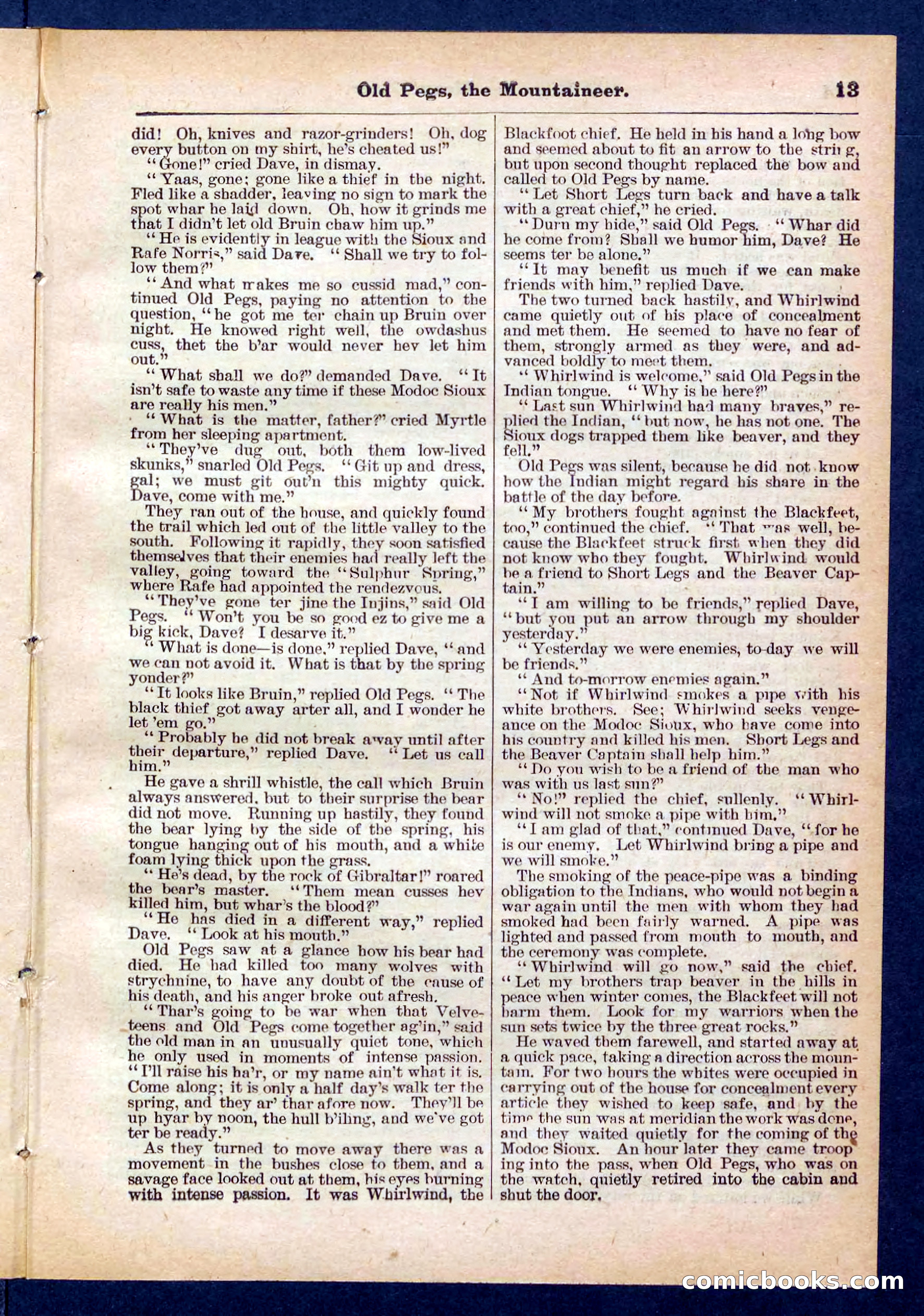Beadle's Pocket Library No. 445 — page 13 of 32