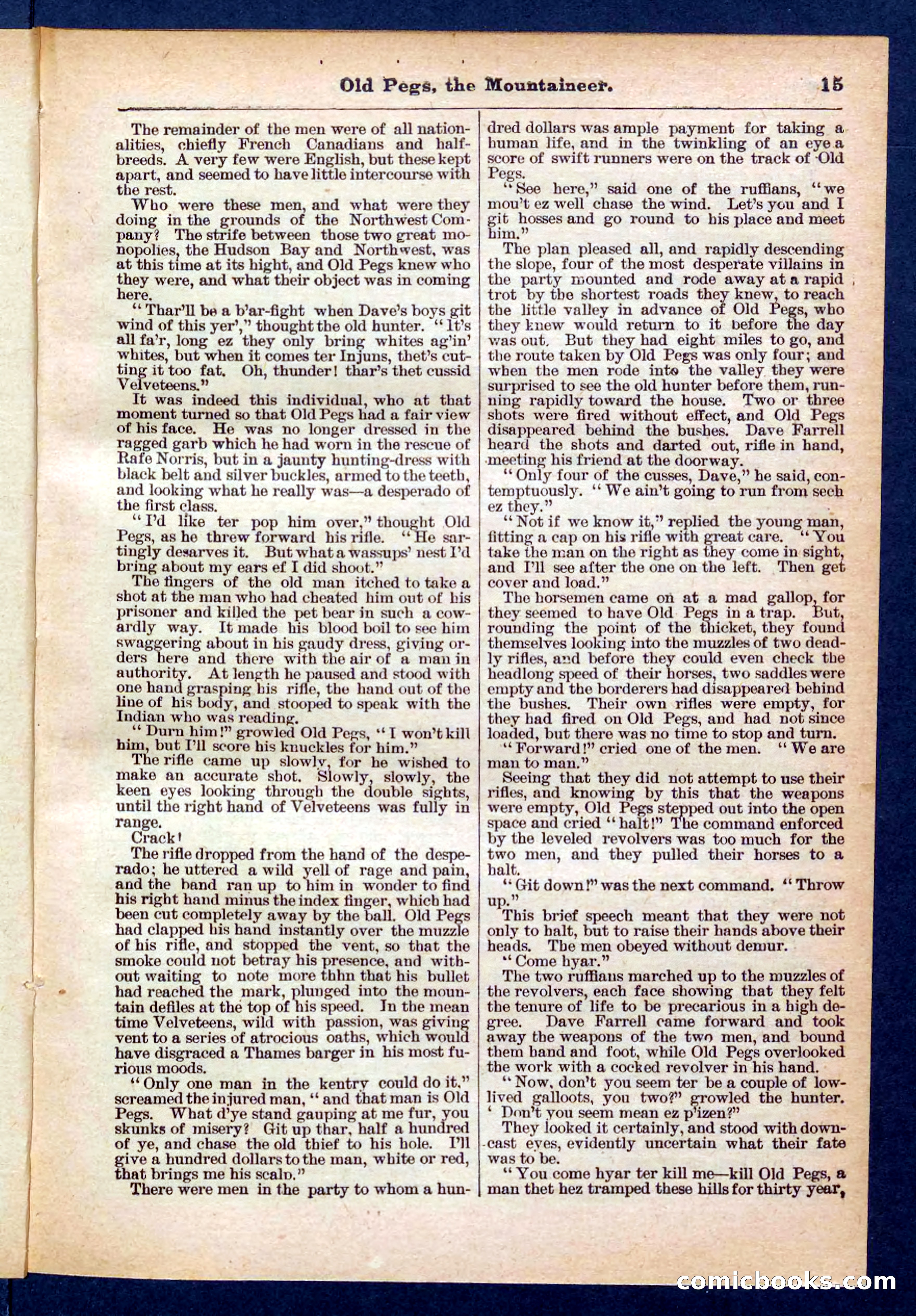 Beadle's Pocket Library No. 445 — page 15 of 32