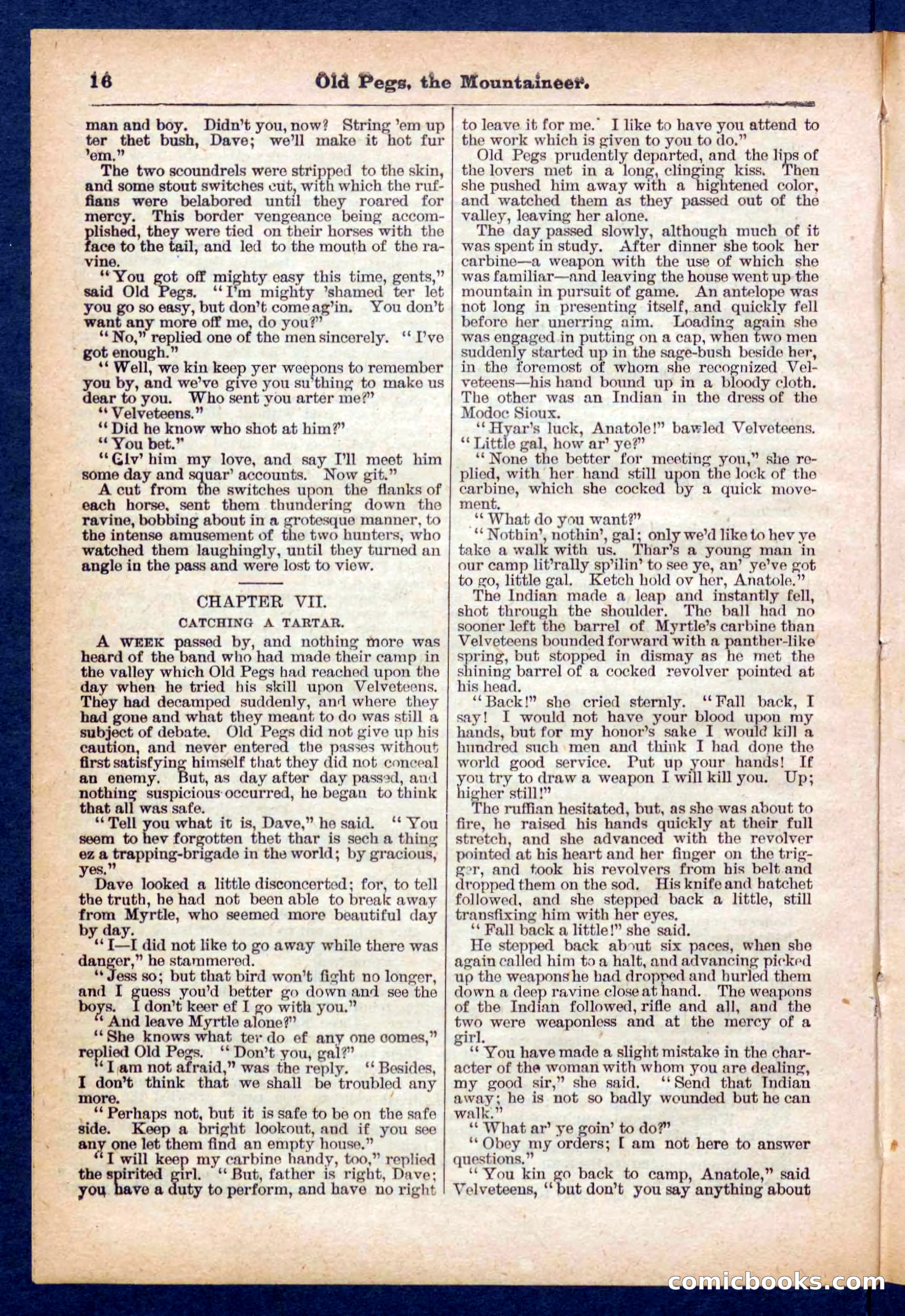 Beadle's Pocket Library No. 445 — page 16 of 32
