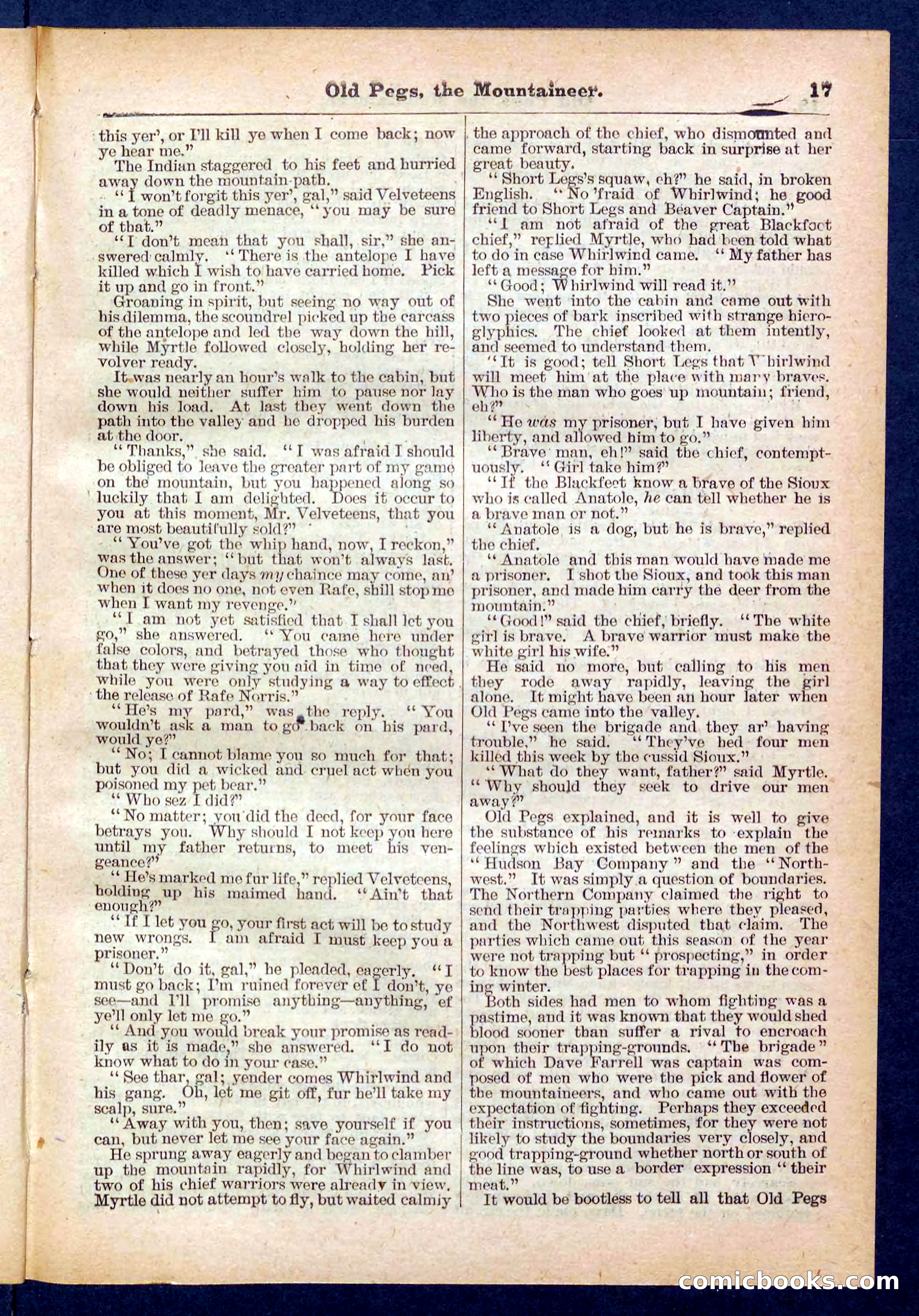 Beadle's Pocket Library No. 445 — page 17 of 32