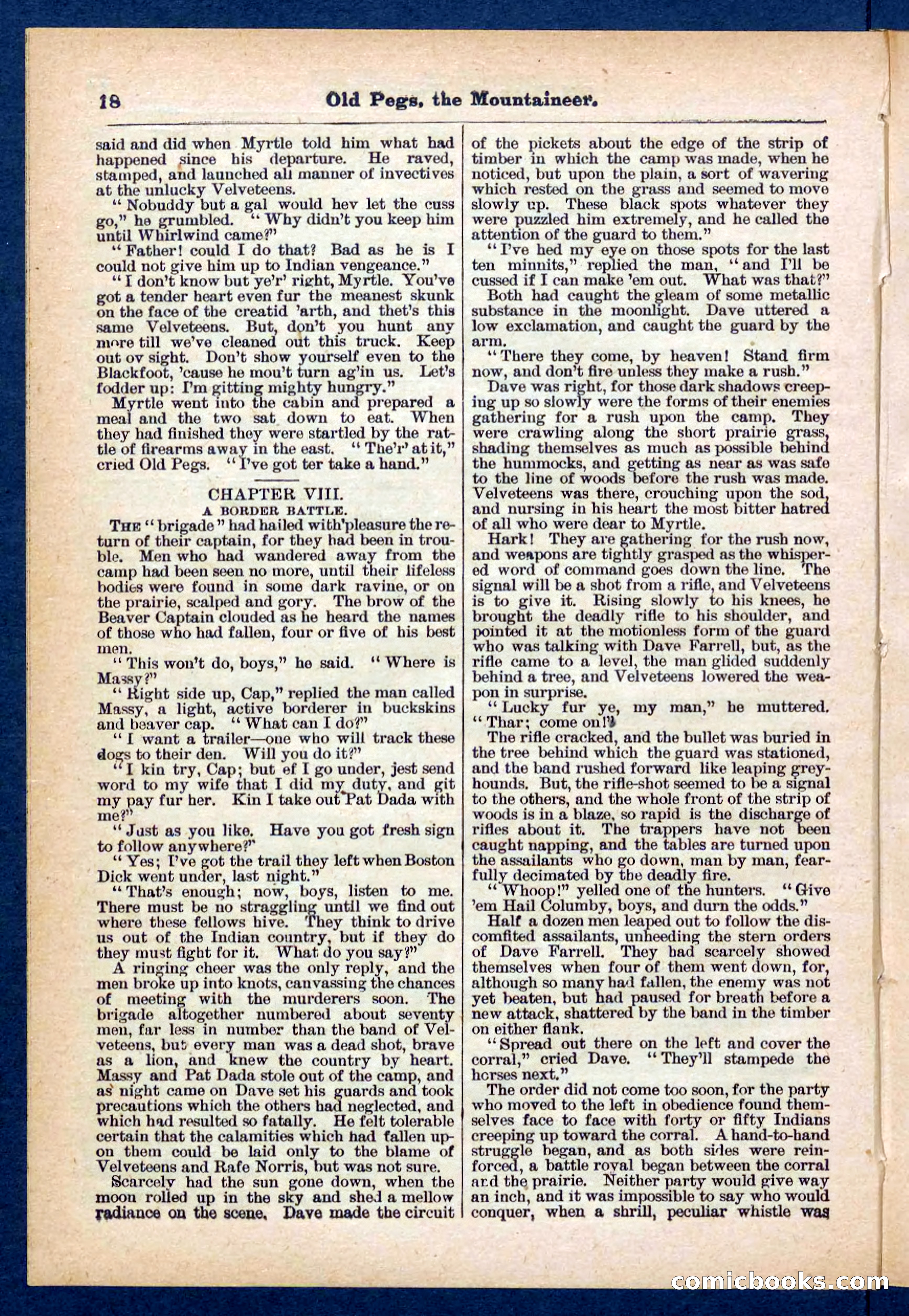 Beadle's Pocket Library No. 445 — page 18 of 32