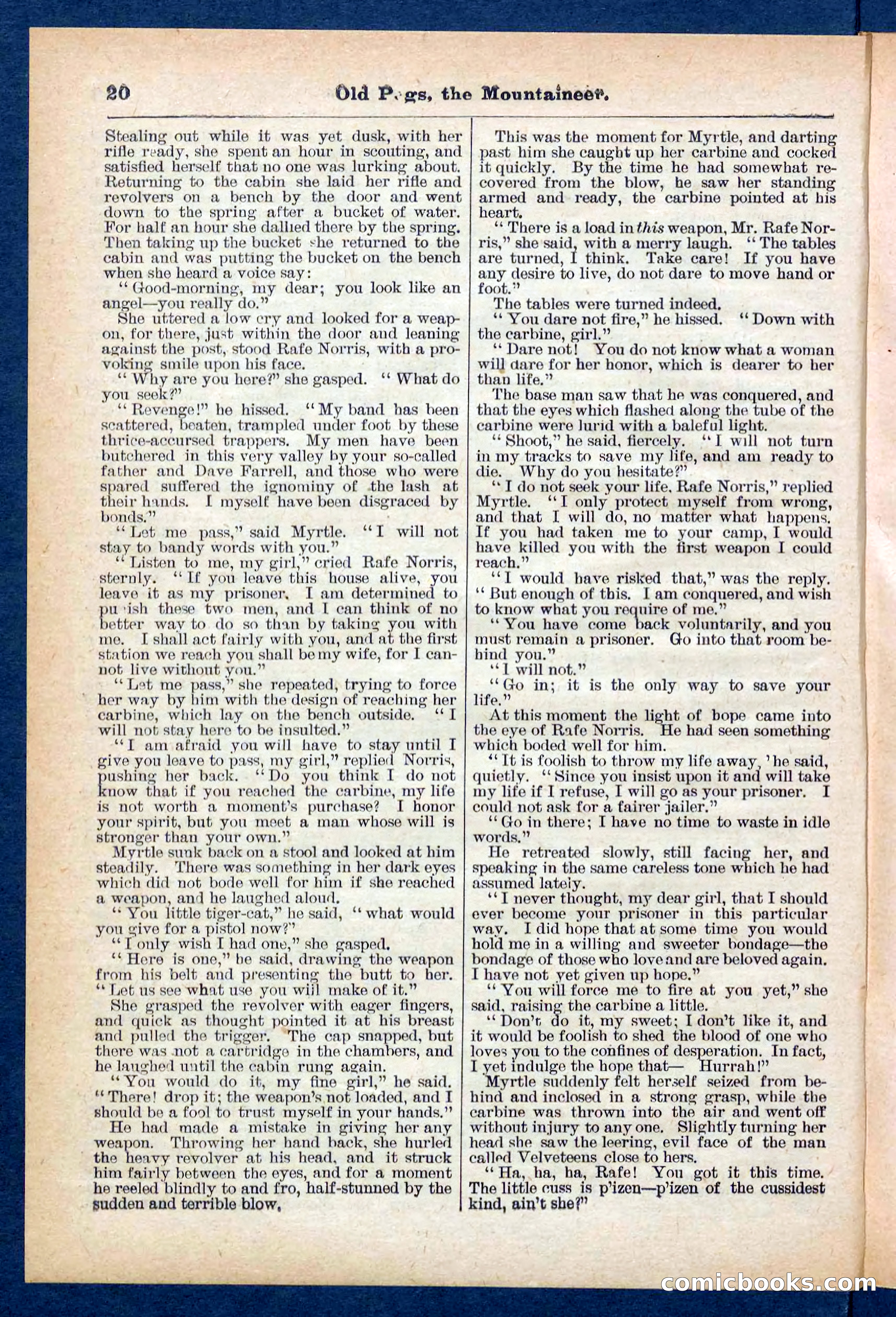 Beadle's Pocket Library No. 445 — page 20 of 32