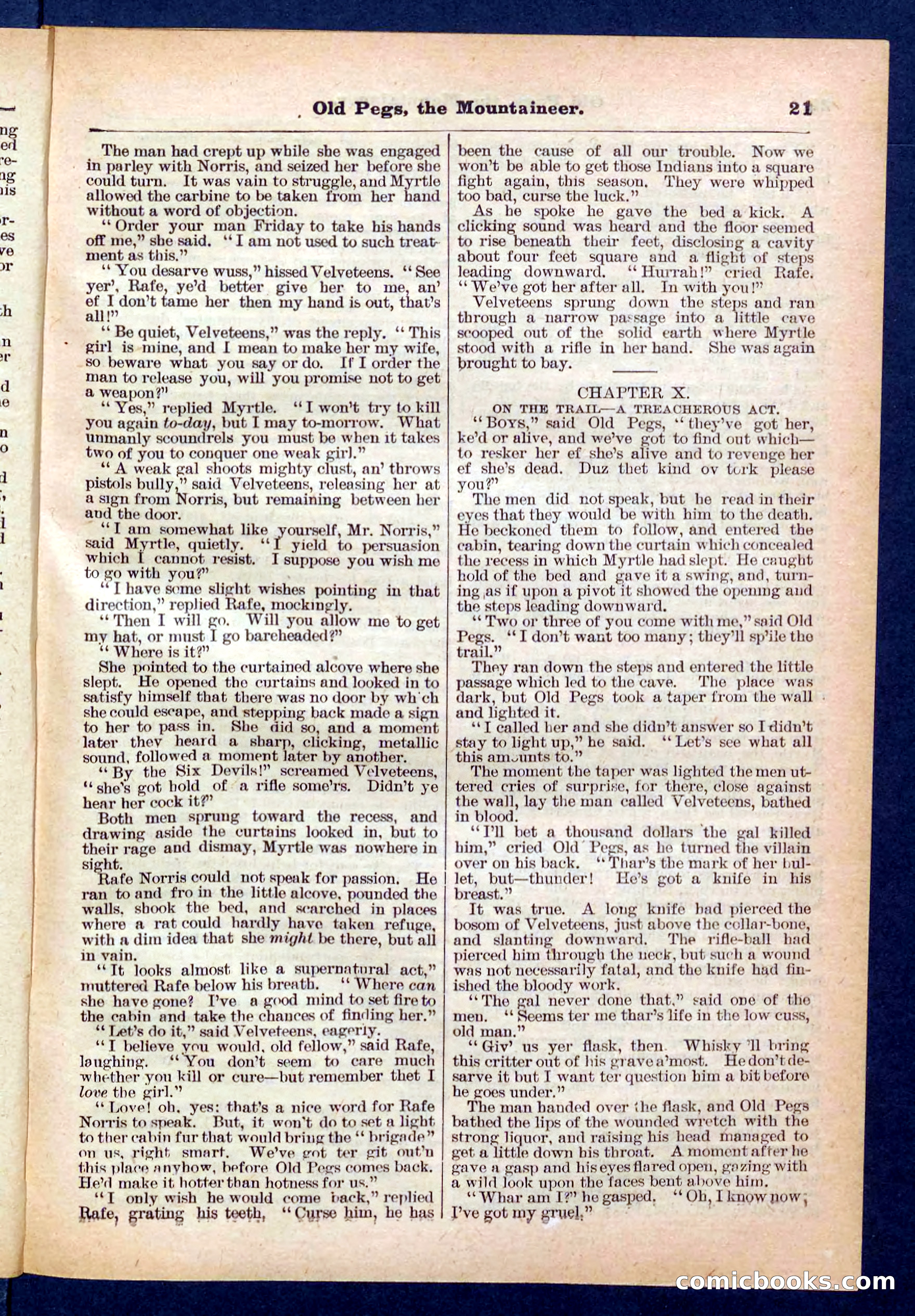 Beadle's Pocket Library No. 445 — page 21 of 32