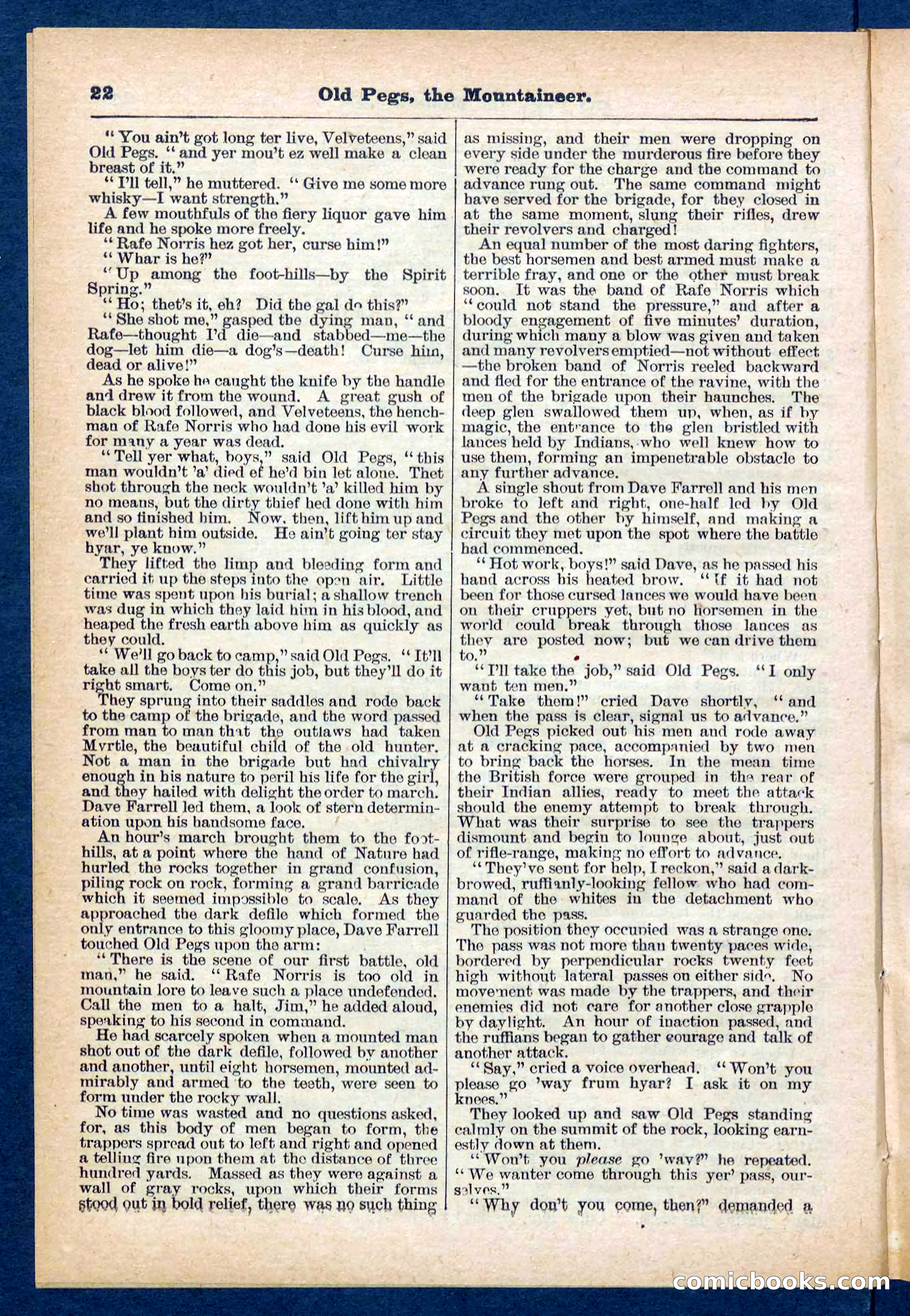 Beadle's Pocket Library No. 445 — page 22 of 32
