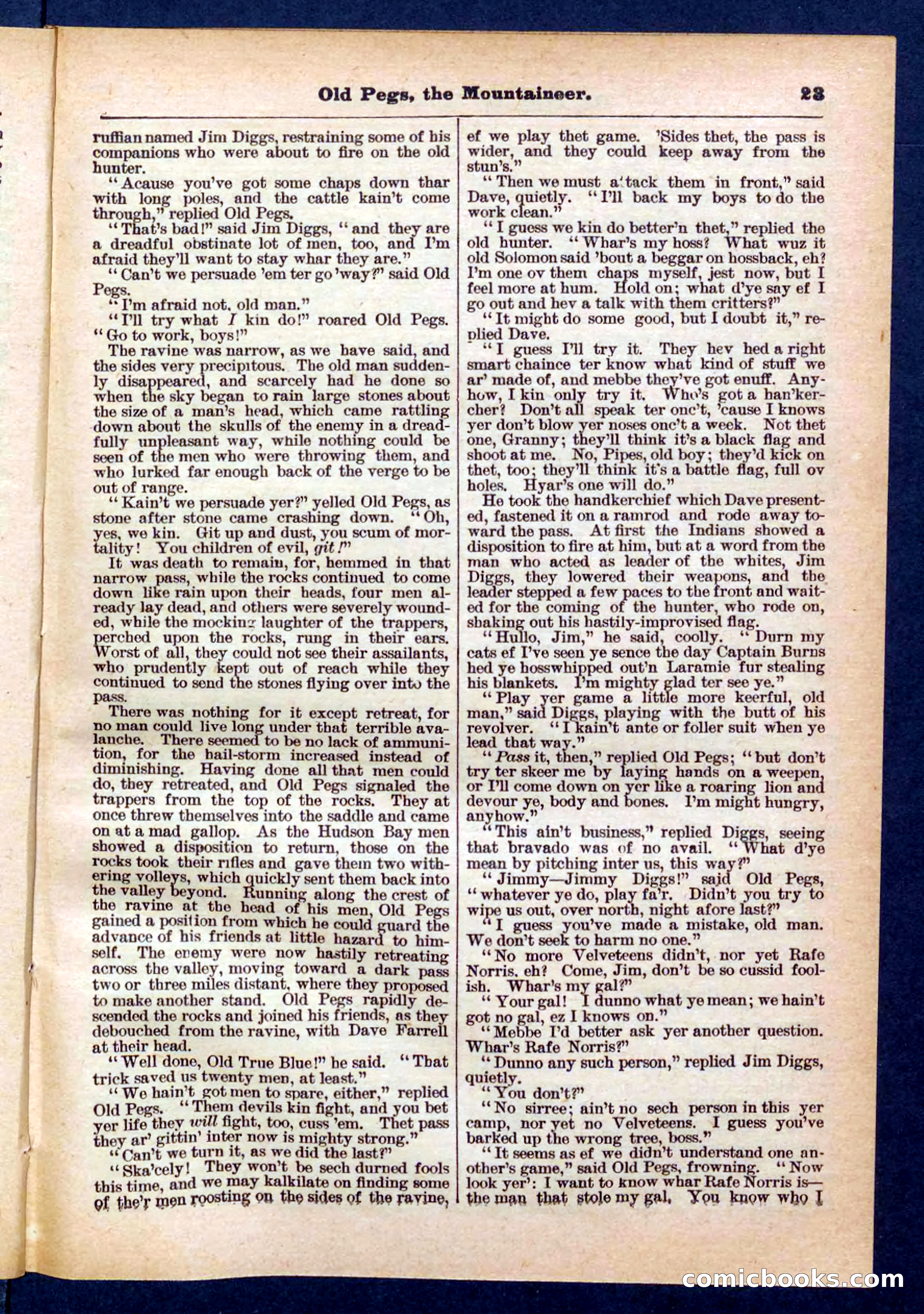 Beadle's Pocket Library No. 445 — page 23 of 32
