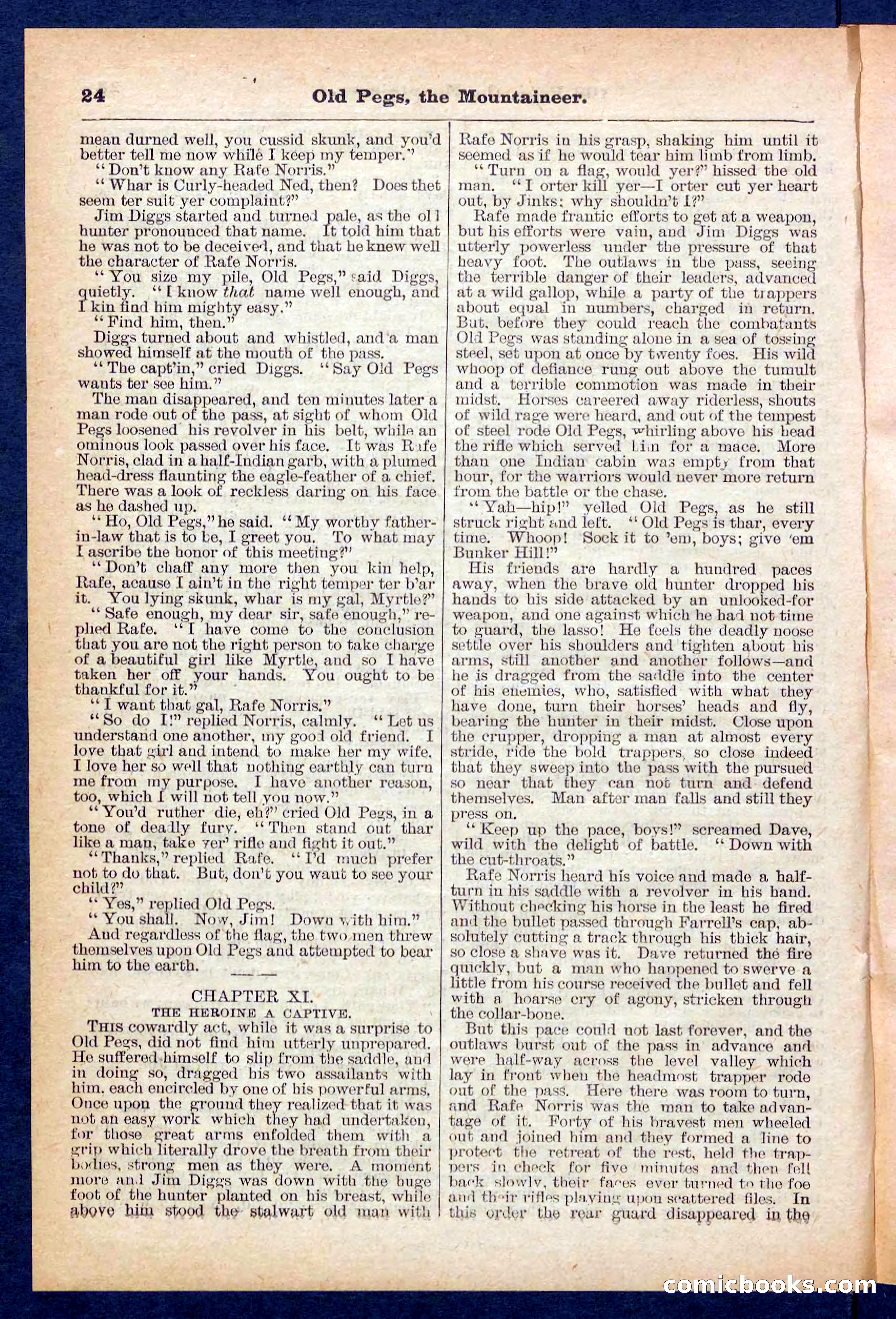 Beadle's Pocket Library No. 445 — page 24 of 32