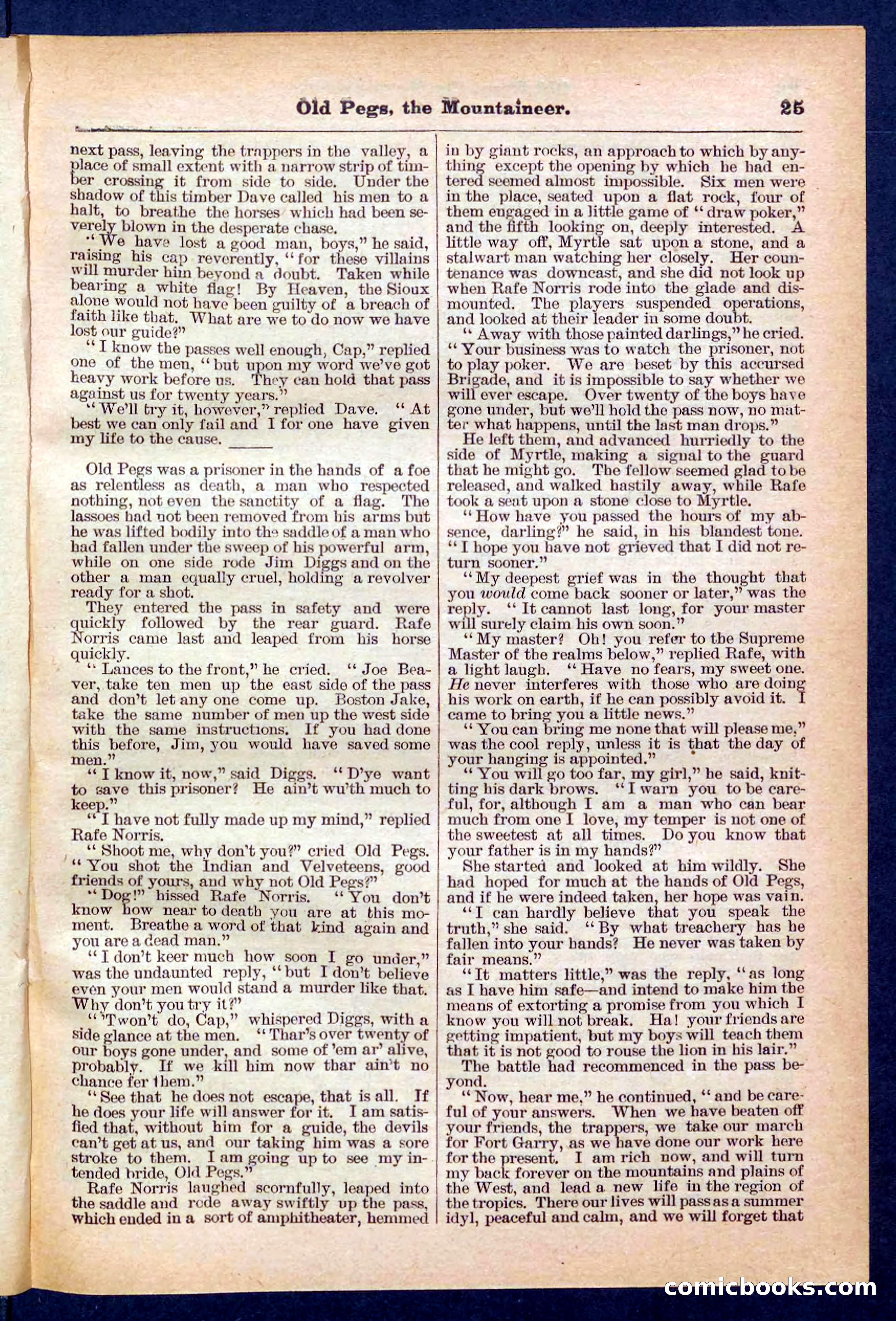 Beadle's Pocket Library No. 445 — page 25 of 32