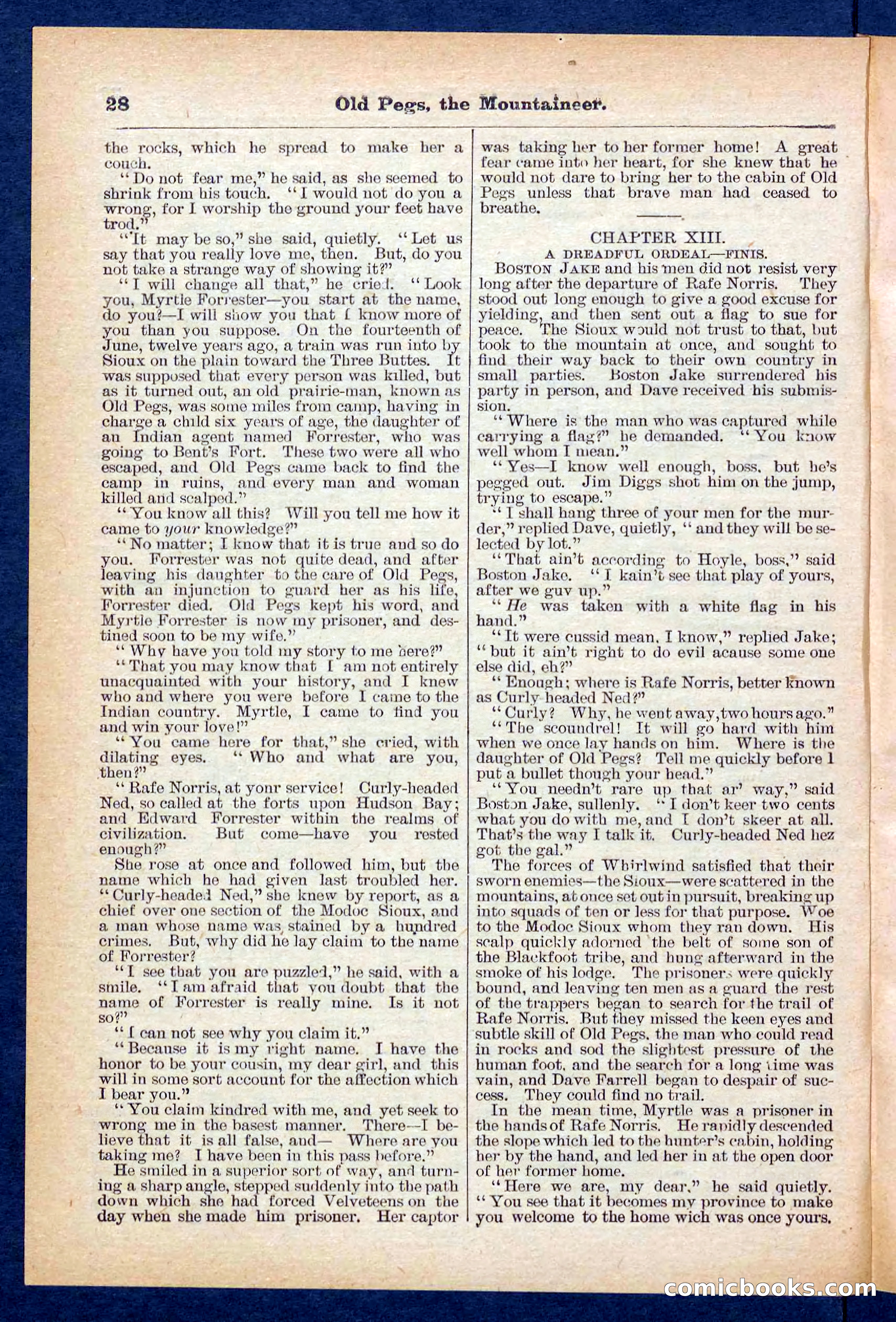 Beadle's Pocket Library No. 445 — page 28 of 32