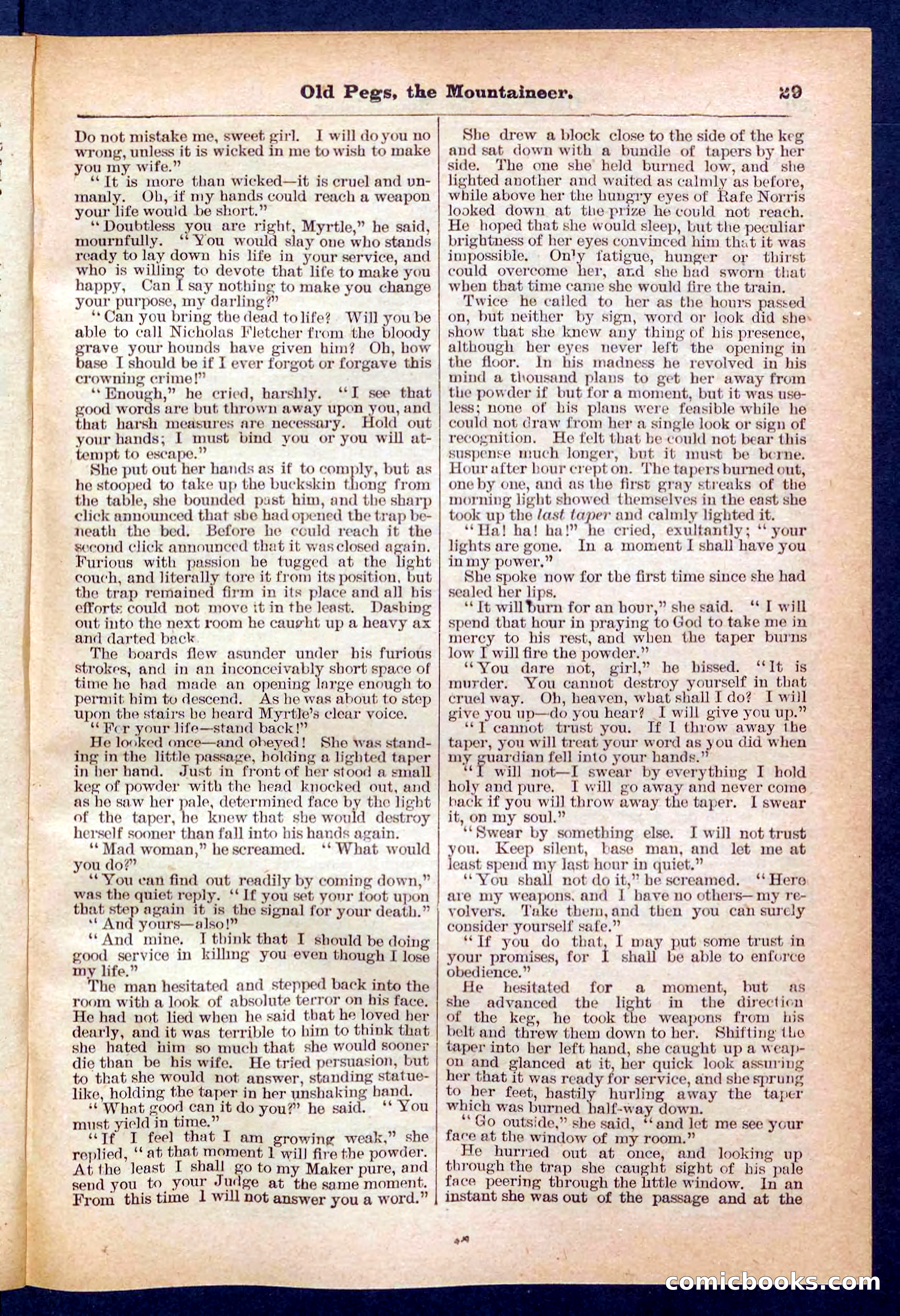 Beadle's Pocket Library No. 445 — page 29 of 32