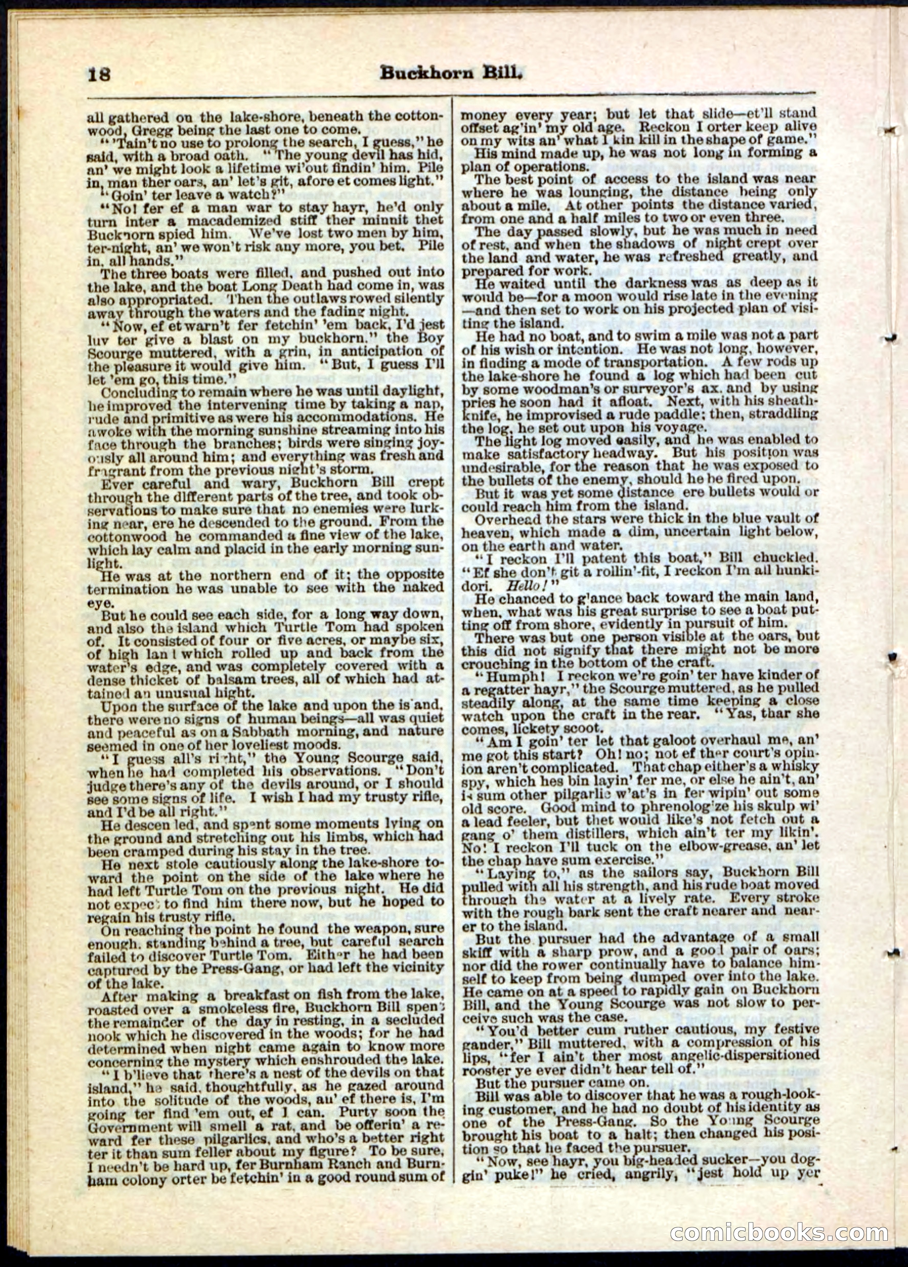 Beadle's Pocket Library No. 45 — page 18 of 32