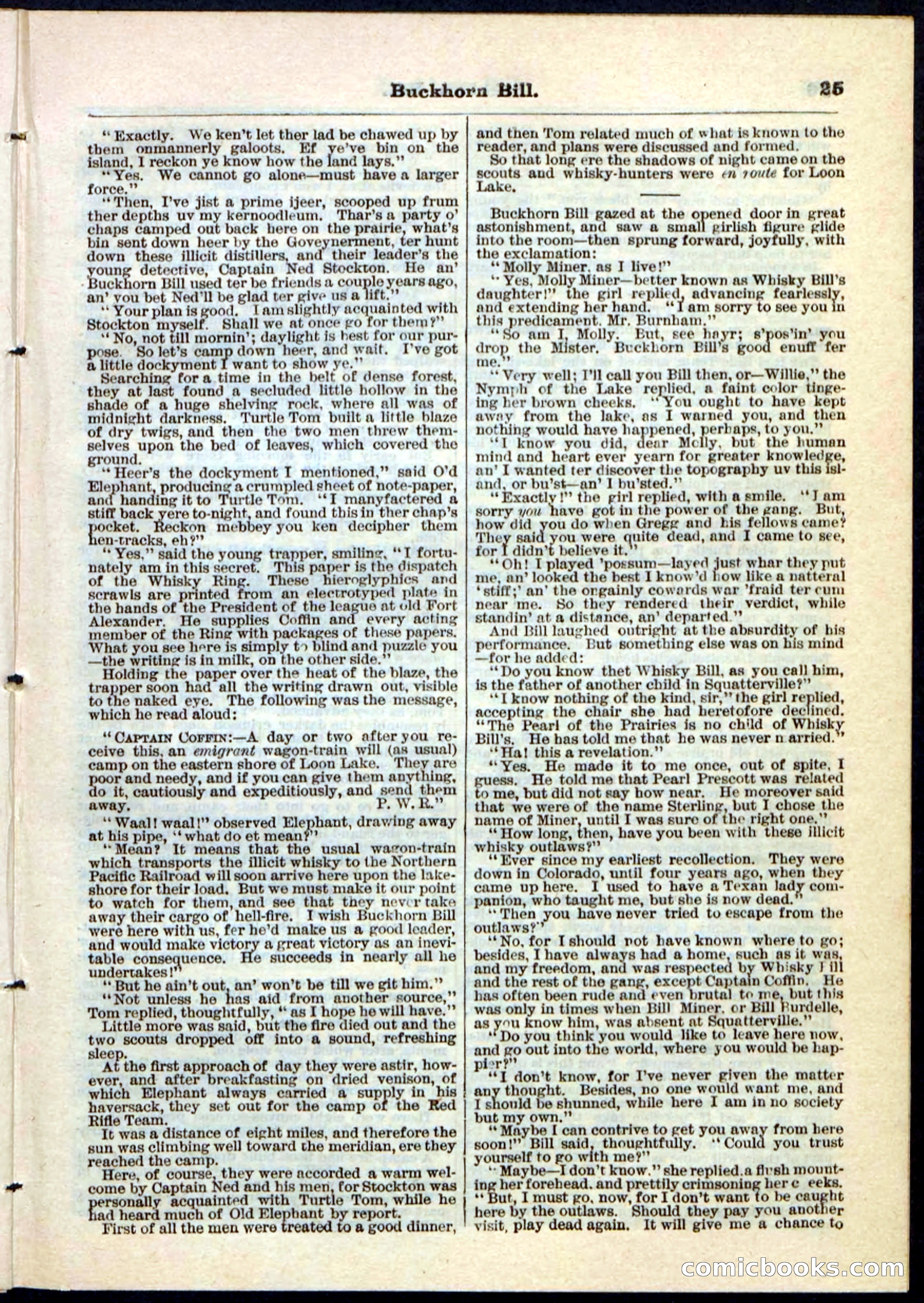 Beadle's Pocket Library No. 45 — page 25 of 32