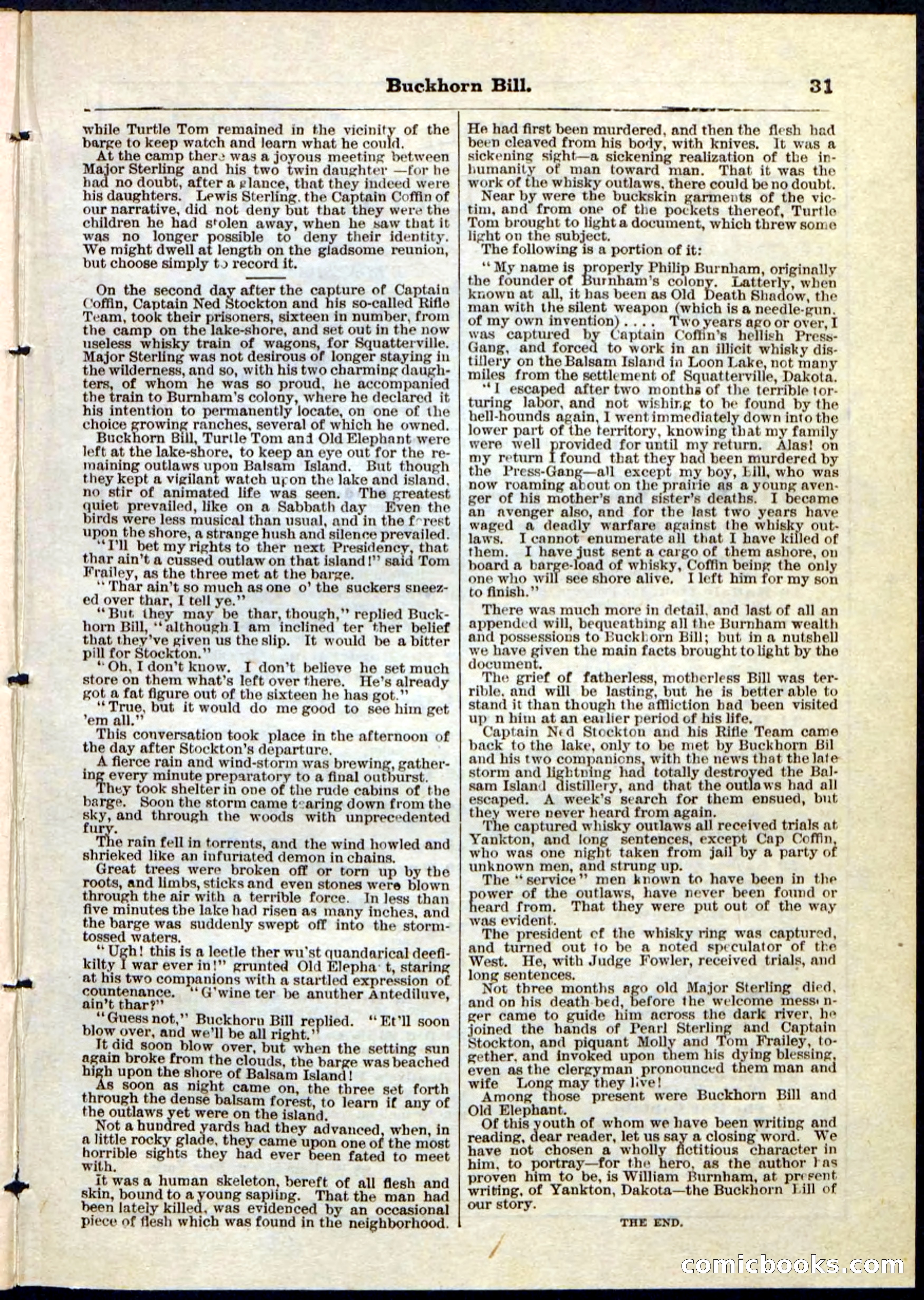 Beadle's Pocket Library No. 45 — page 31 of 32