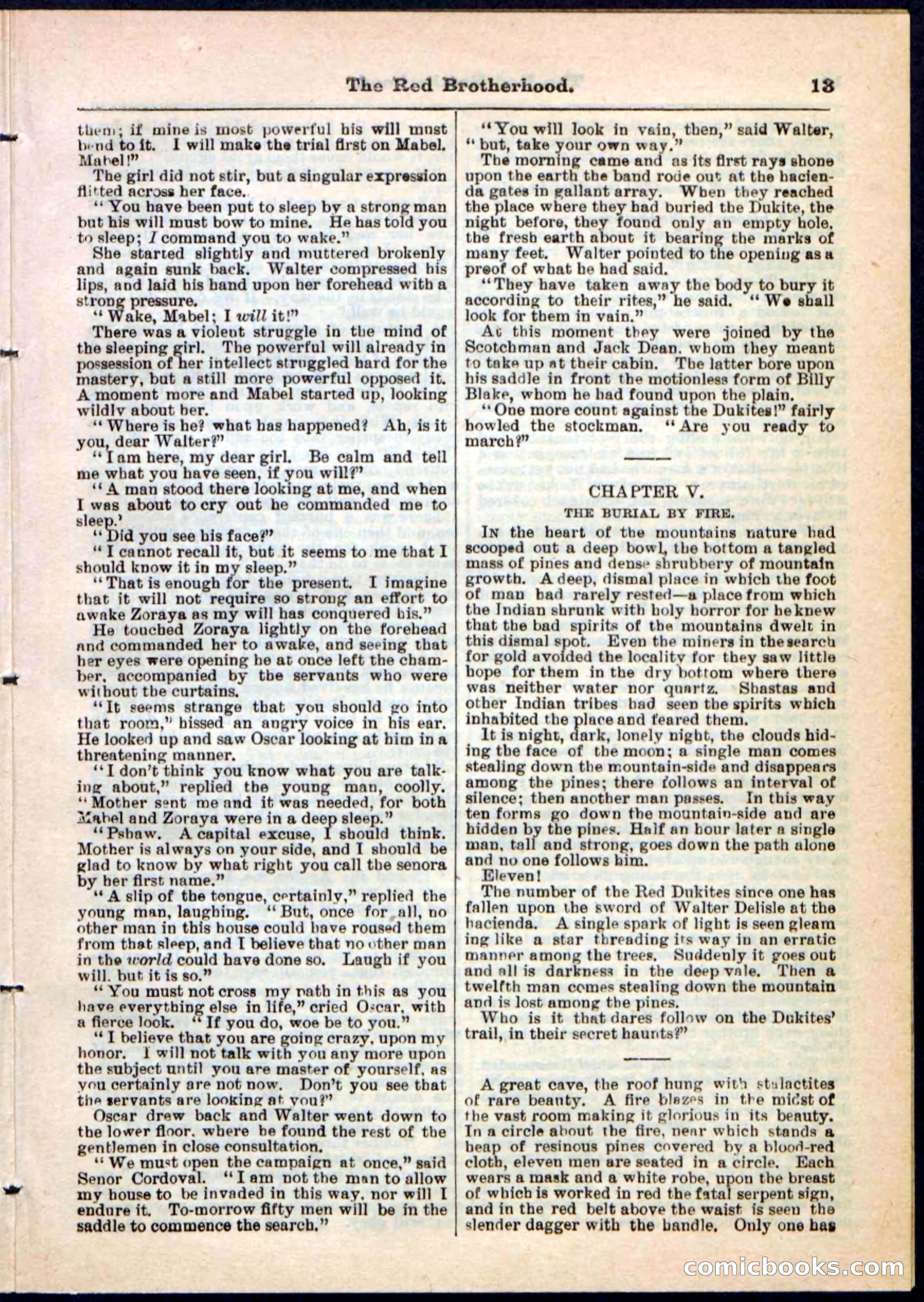 Beadle's Pocket Library No. 47 — page 13 of 32