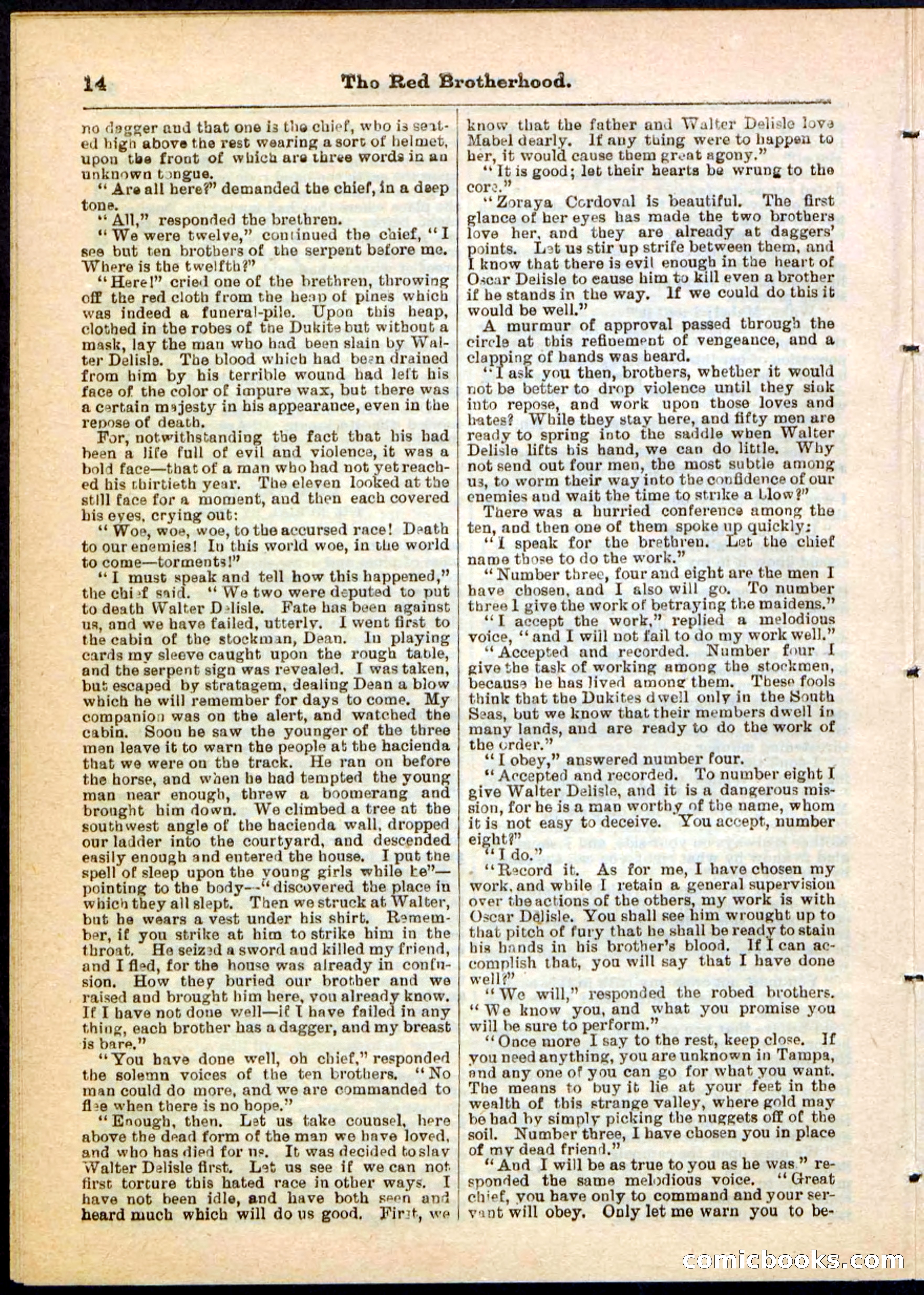 Beadle's Pocket Library No. 47 — page 14 of 32