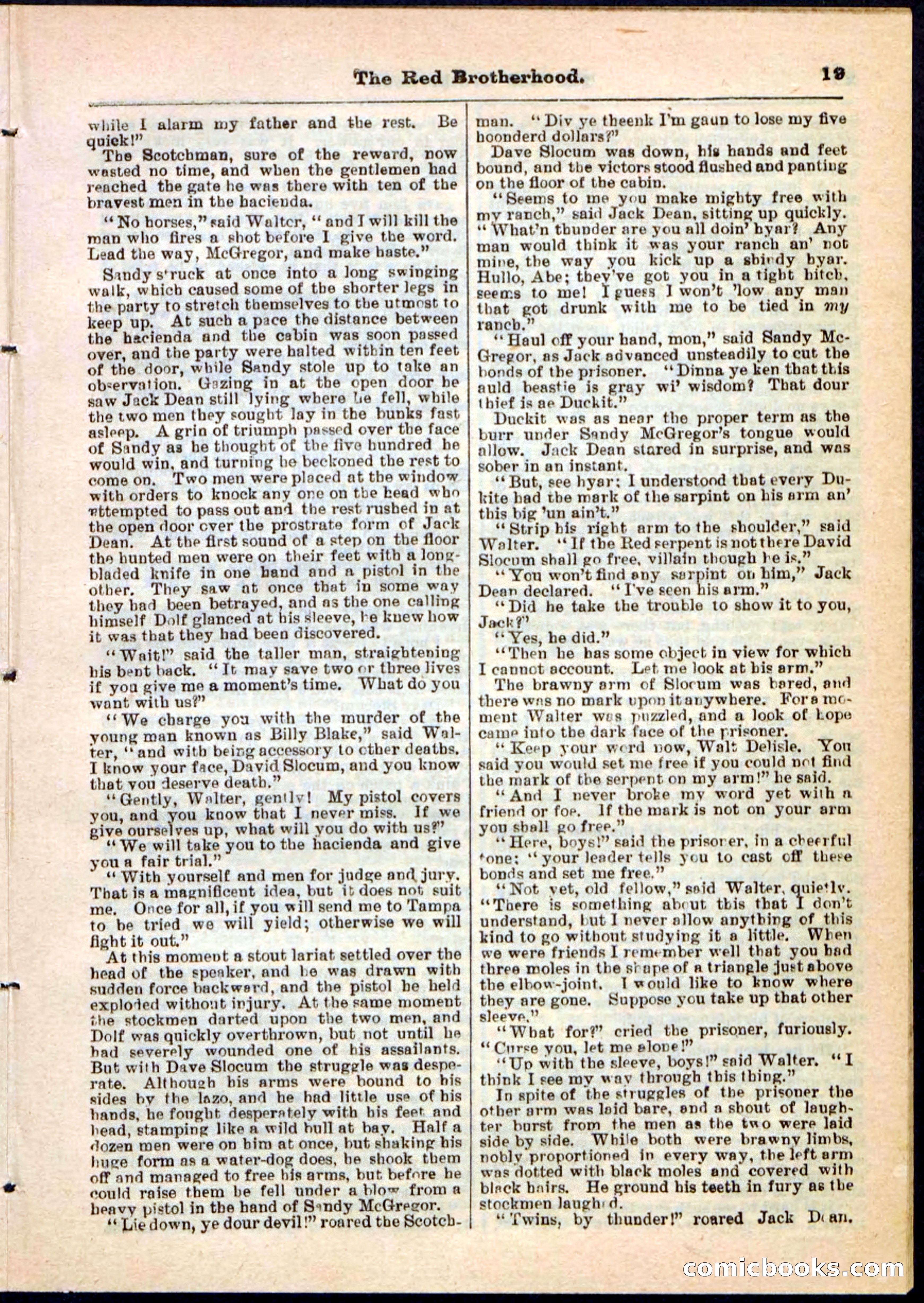 Beadle's Pocket Library No. 47 — page 19 of 32