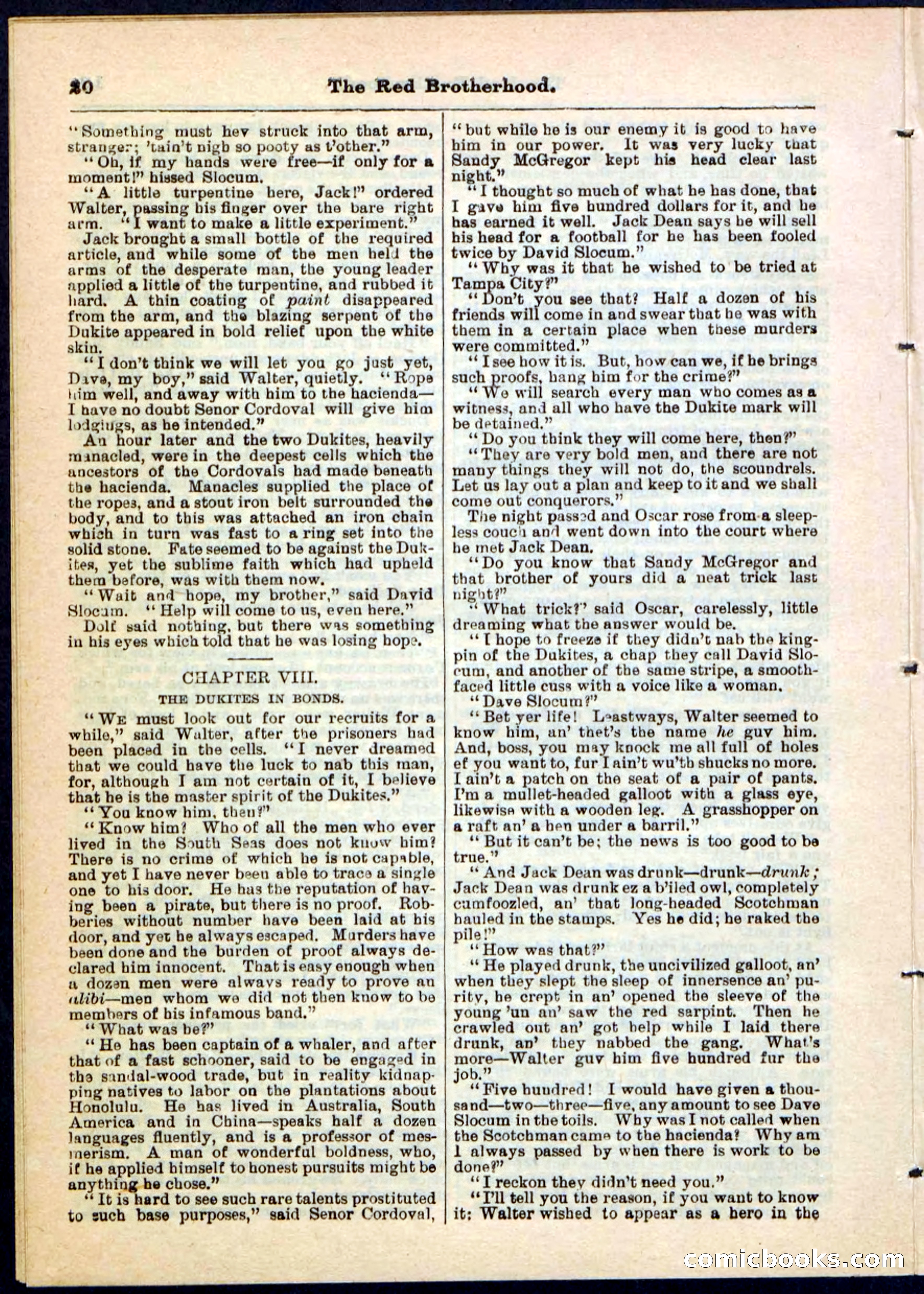 Beadle's Pocket Library No. 47 — page 20 of 32