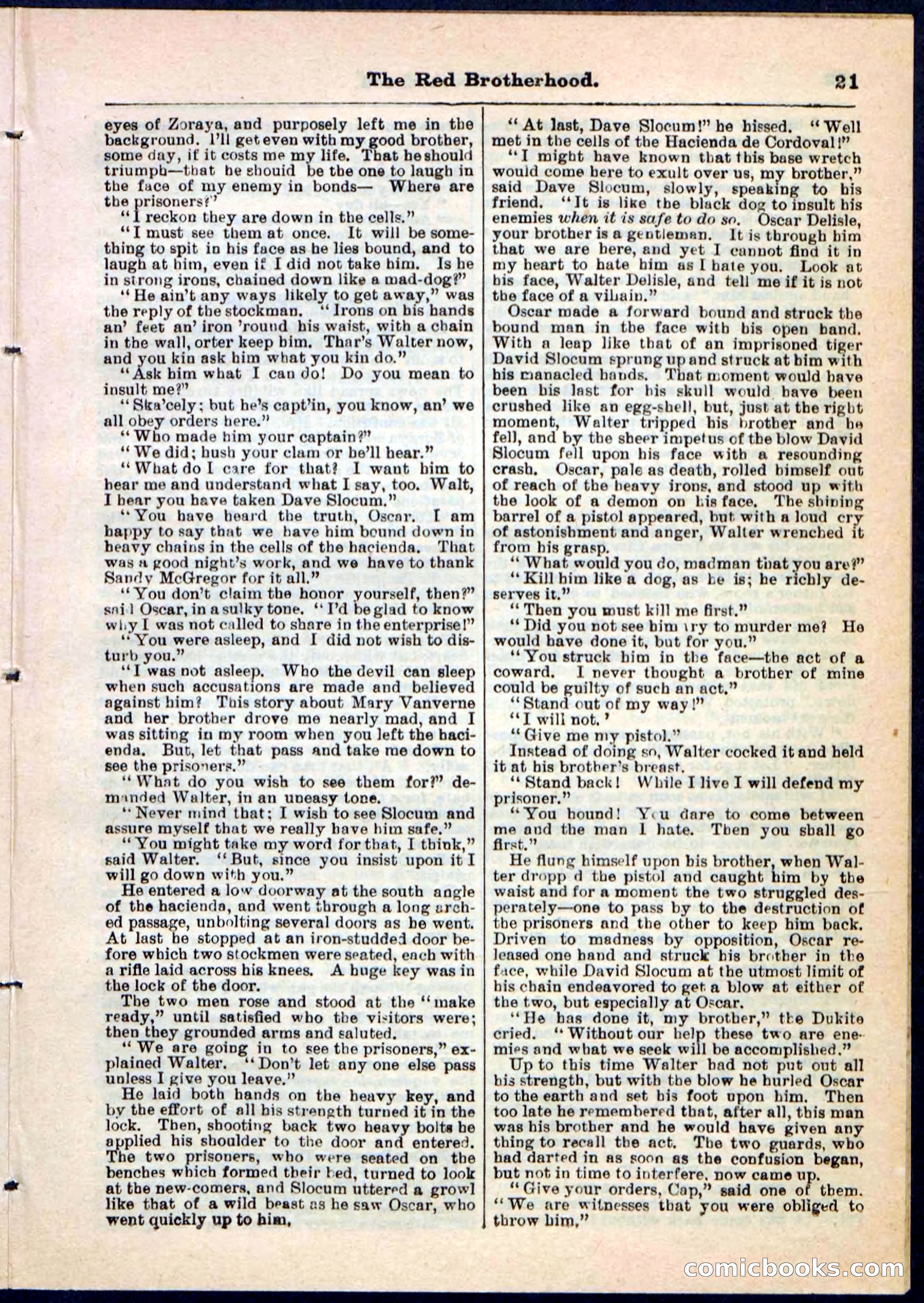 Beadle's Pocket Library No. 47 — page 21 of 32