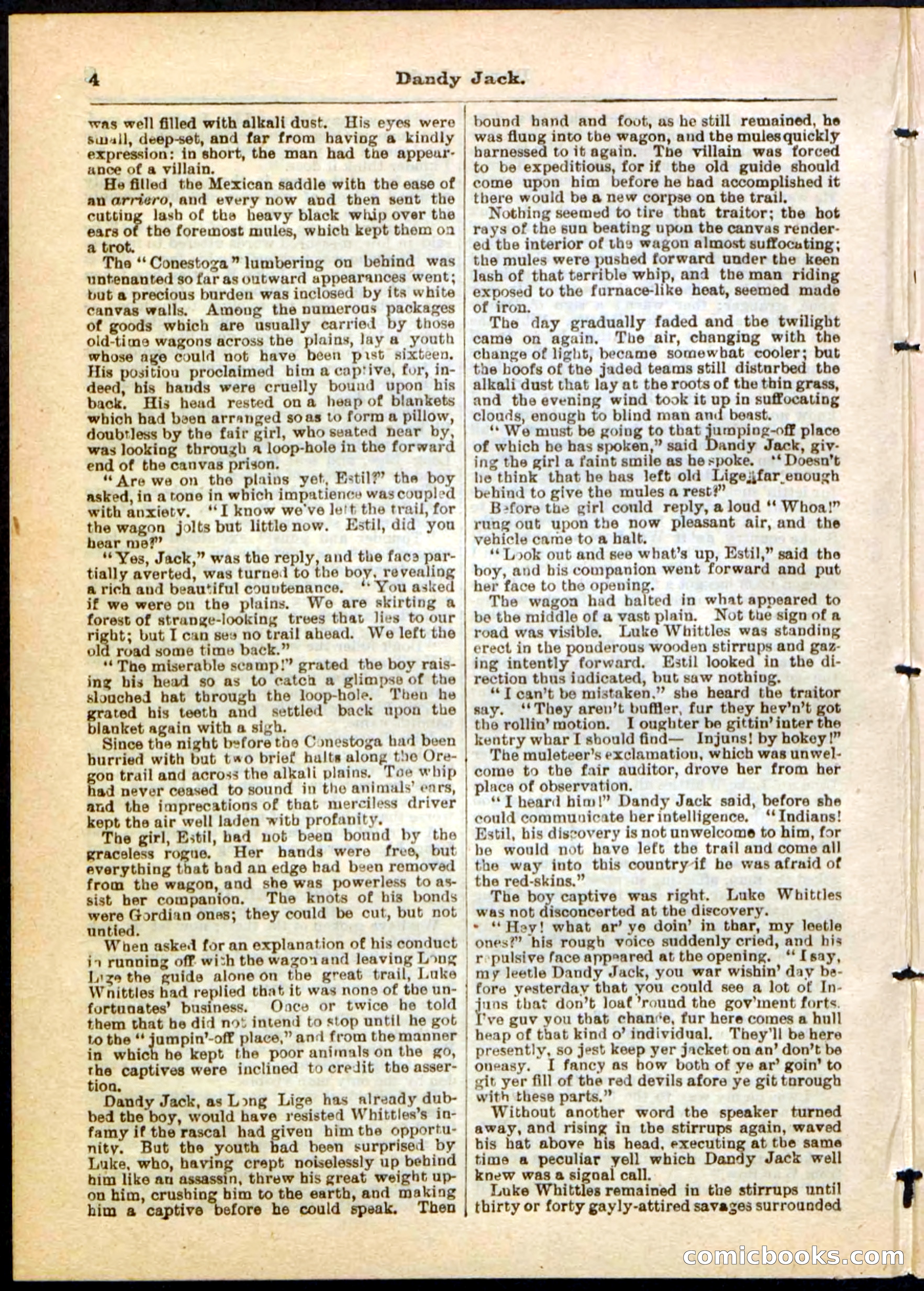 Beadle's Pocket Library No. 48 — page 4 of 32