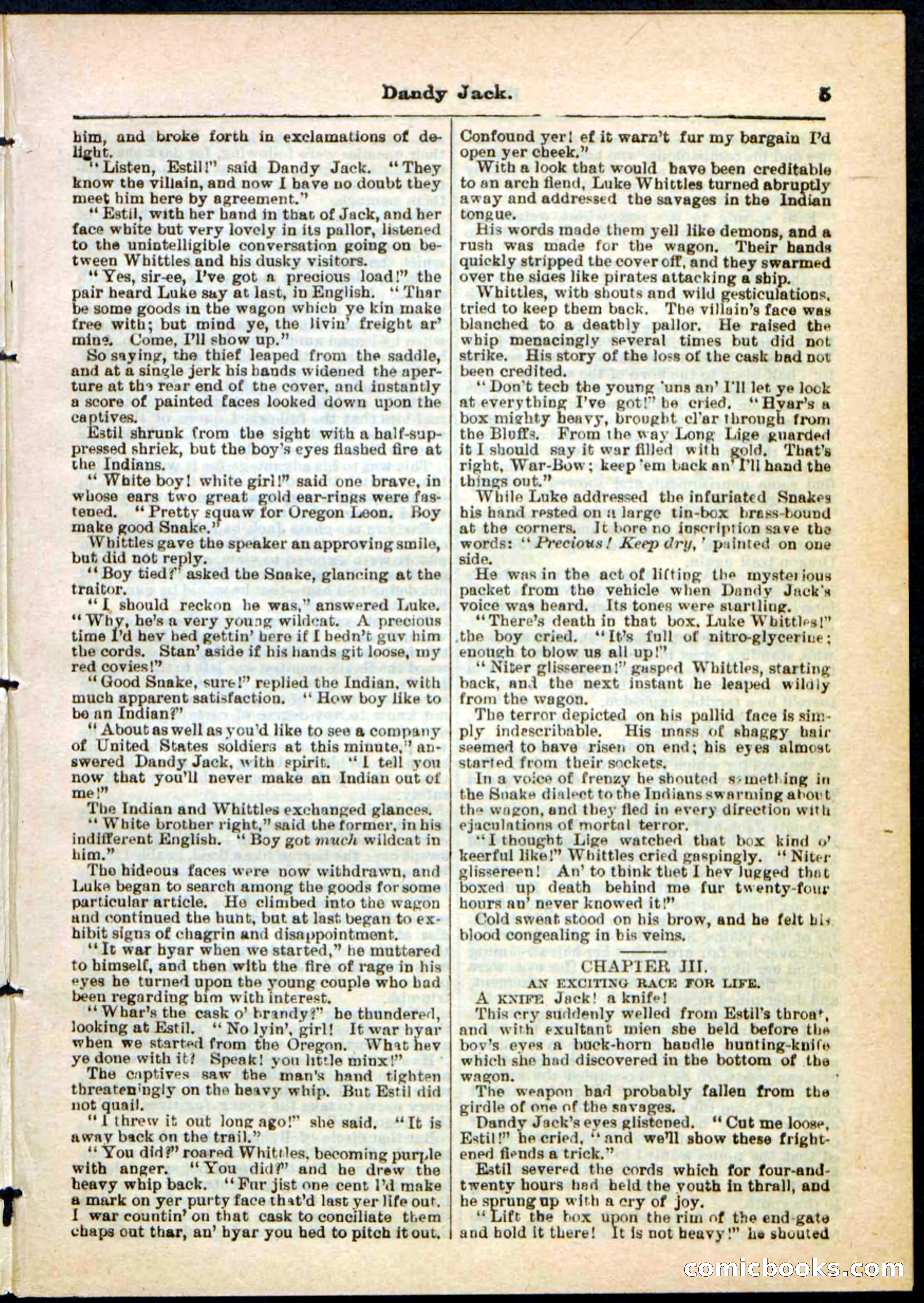 Beadle's Pocket Library No. 48 — page 5 of 32