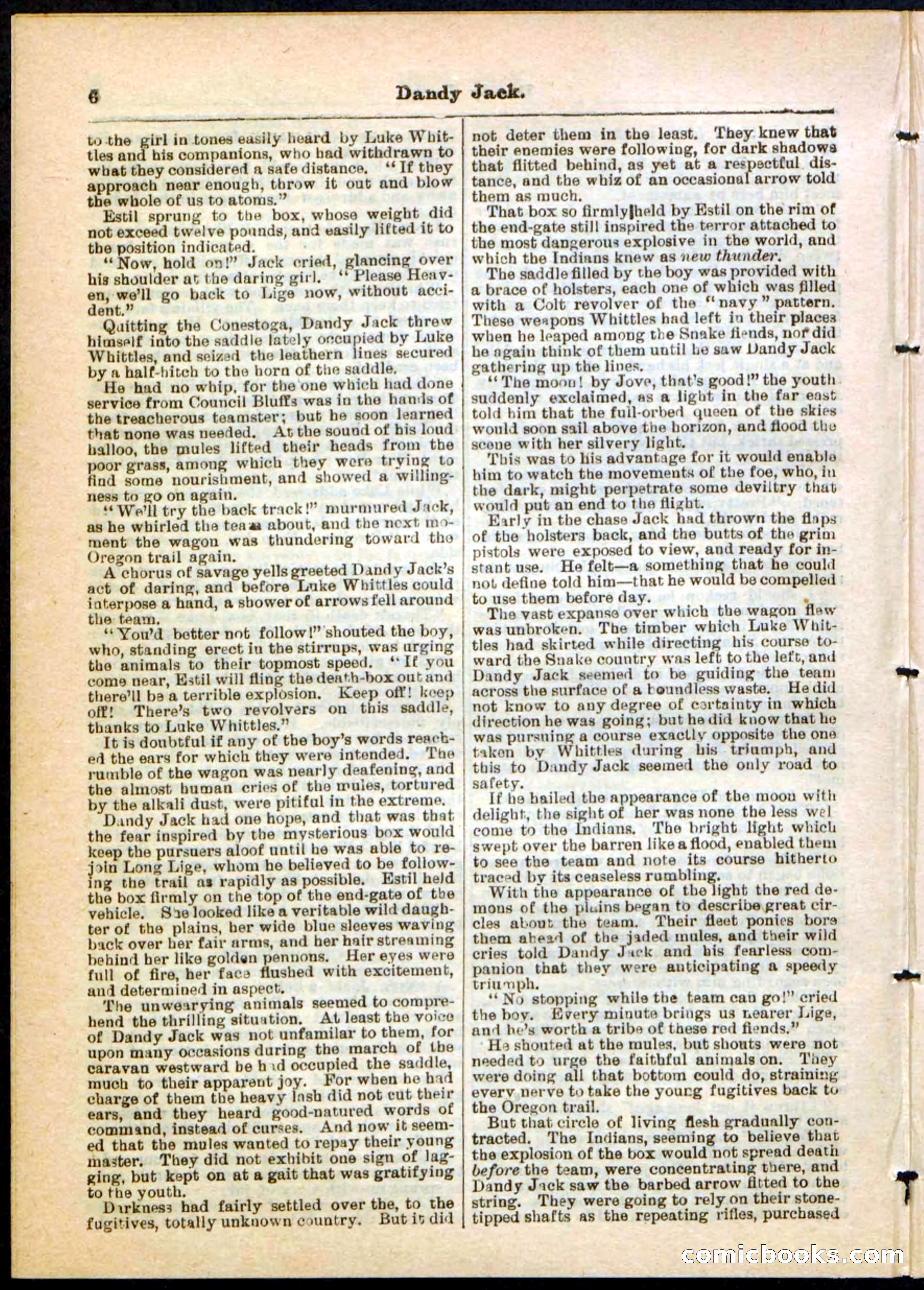 Beadle's Pocket Library No. 48 — page 6 of 32