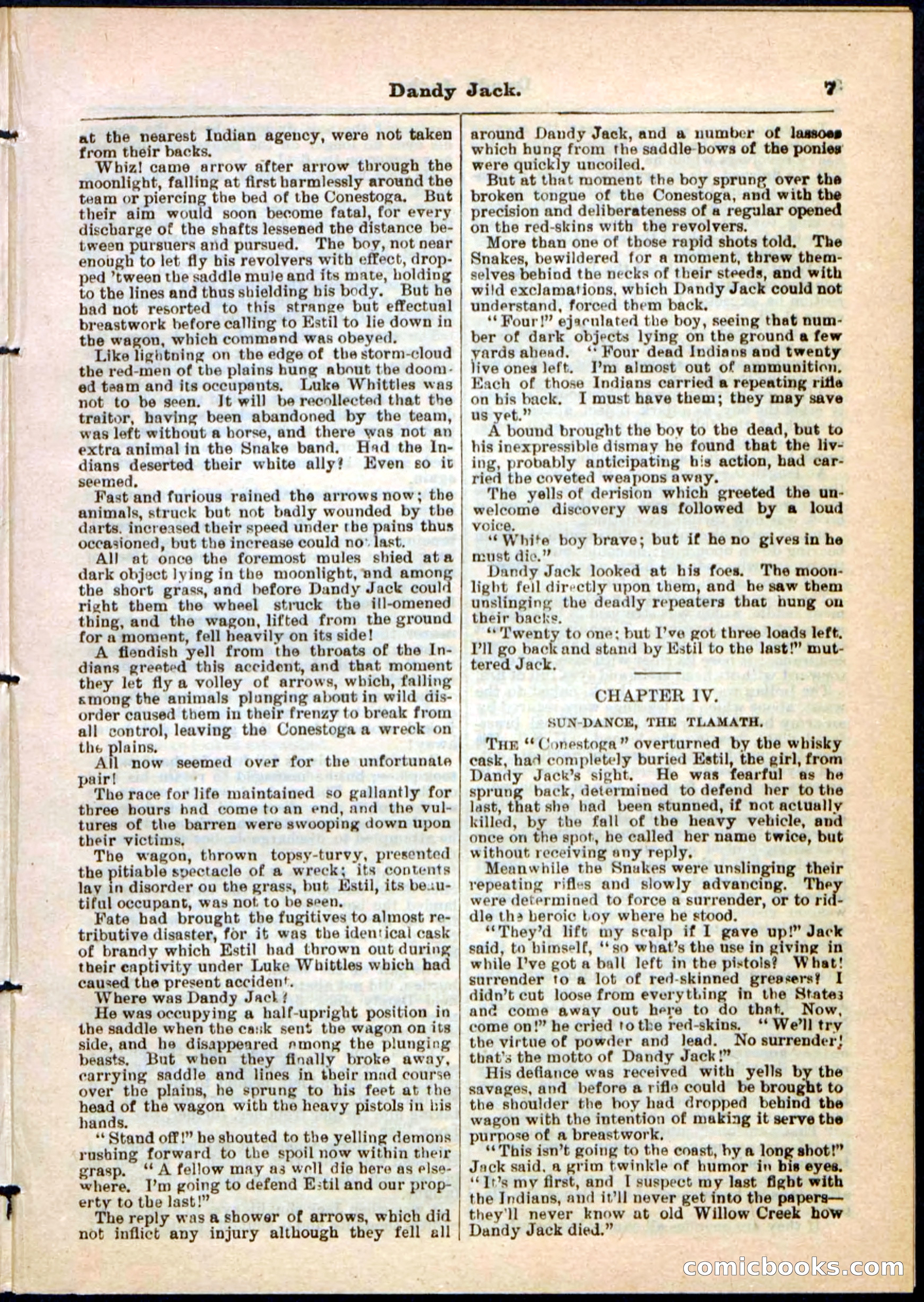Beadle's Pocket Library No. 48 — page 7 of 32
