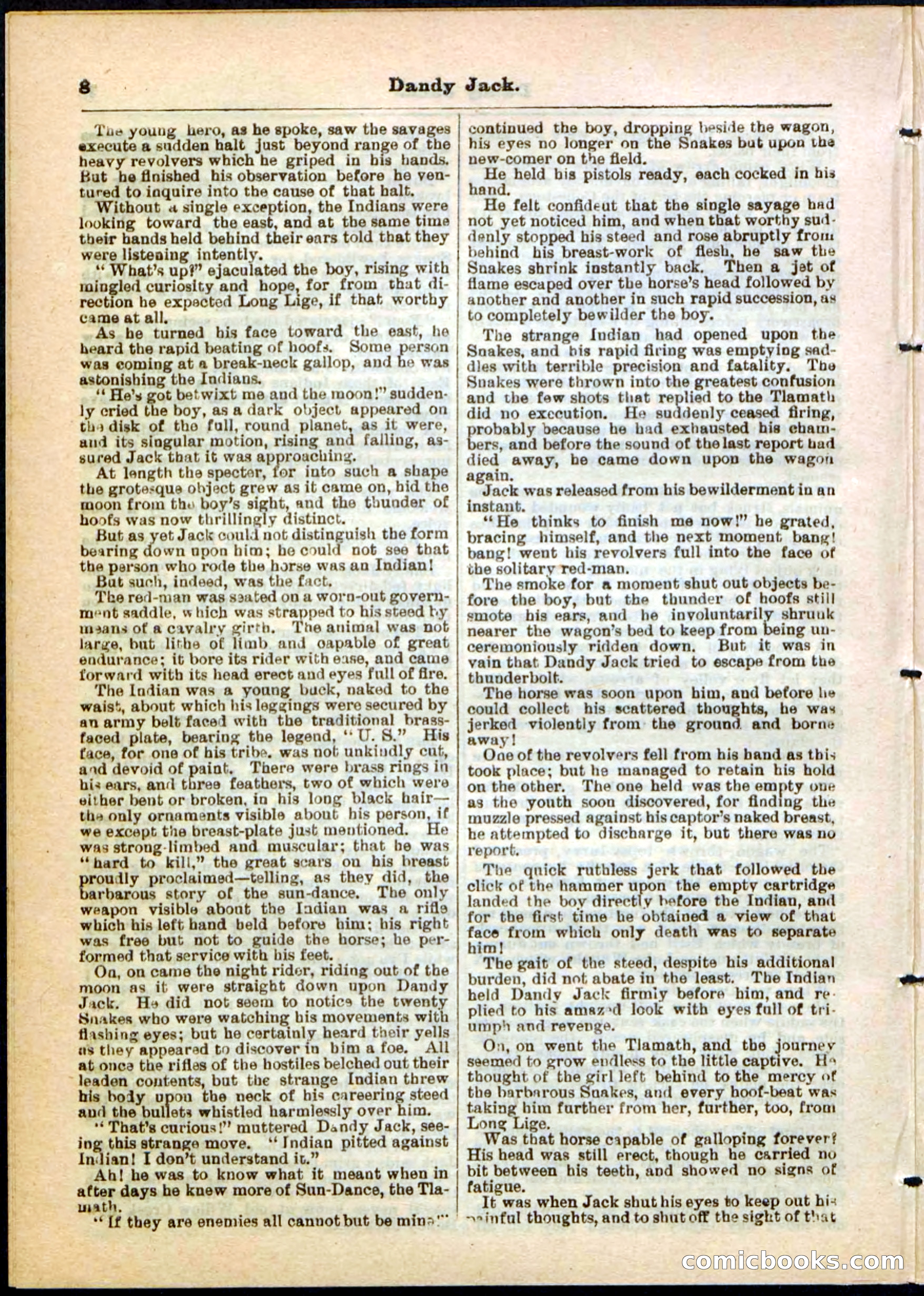 Beadle's Pocket Library No. 48 — page 8 of 32