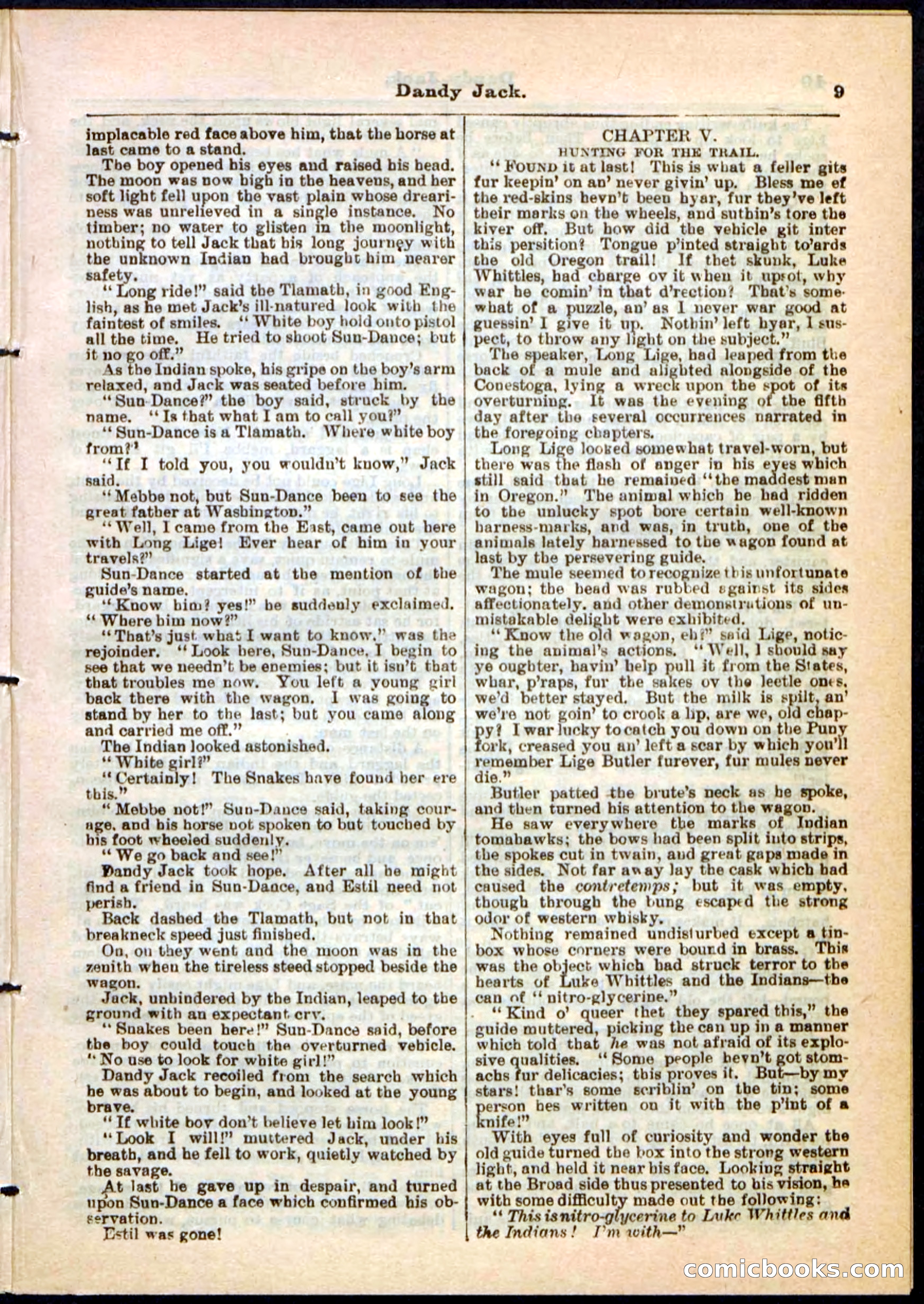 Beadle's Pocket Library No. 48 — page 9 of 32