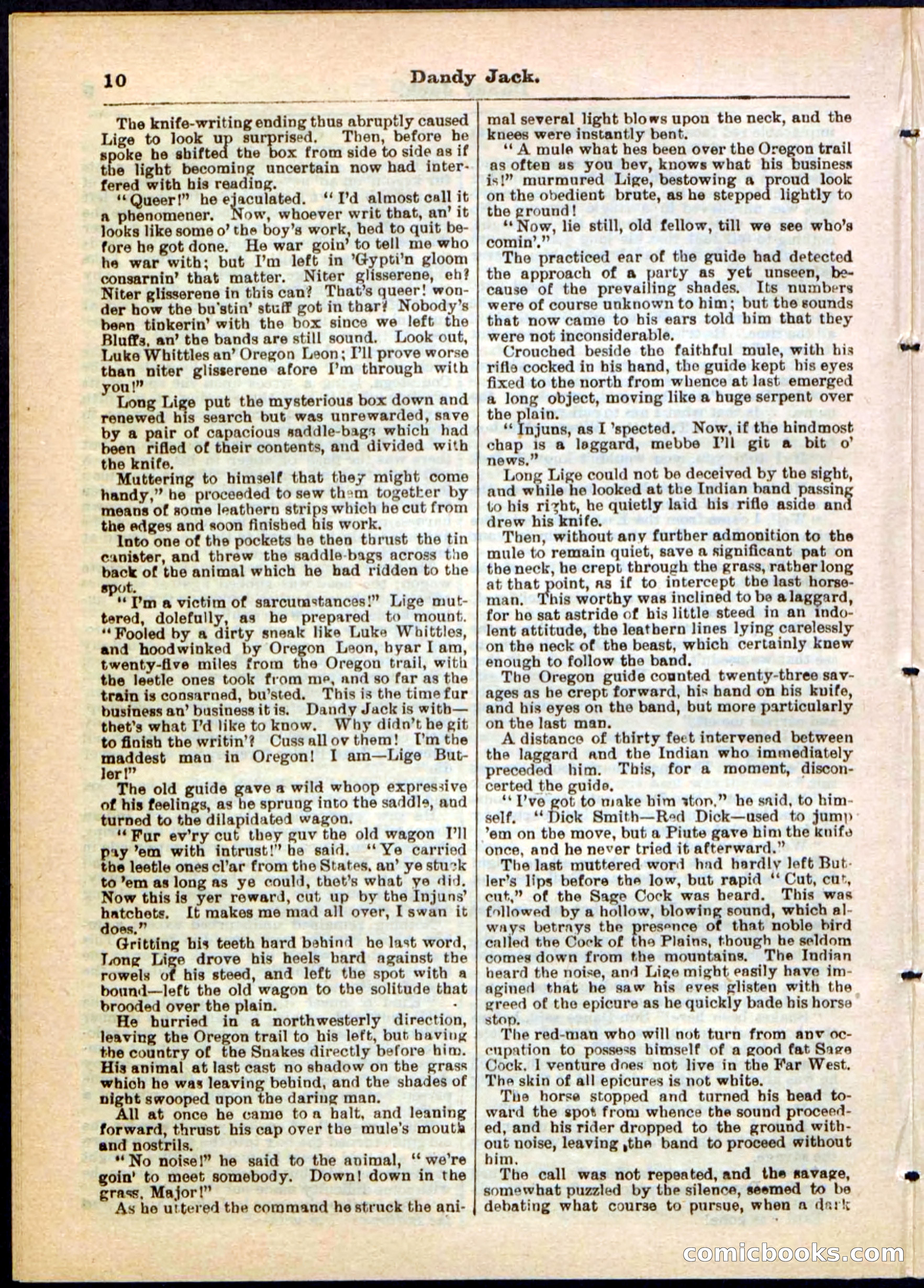 Beadle's Pocket Library No. 48 — page 10 of 32