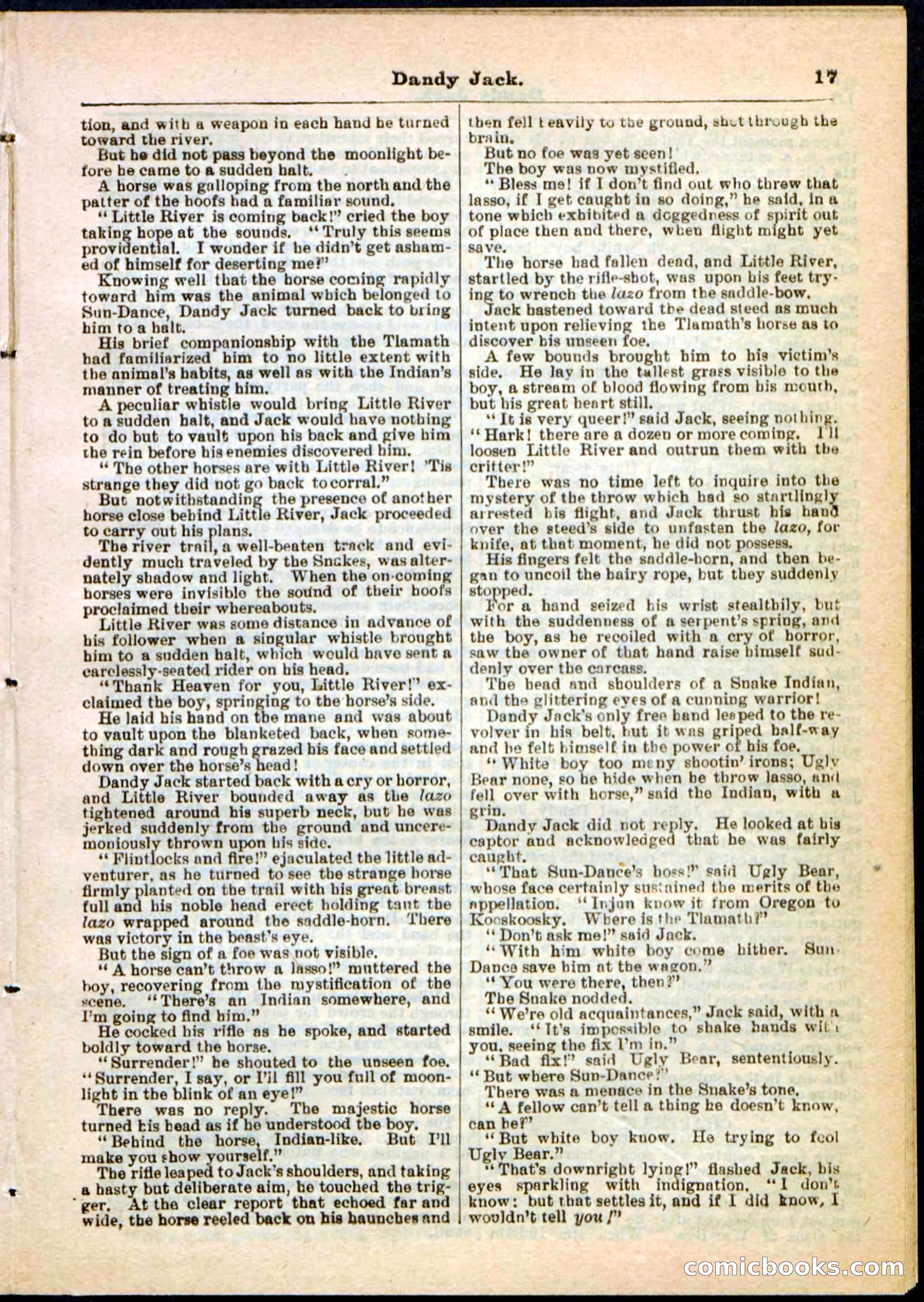 Beadle's Pocket Library No. 48 — page 17 of 32