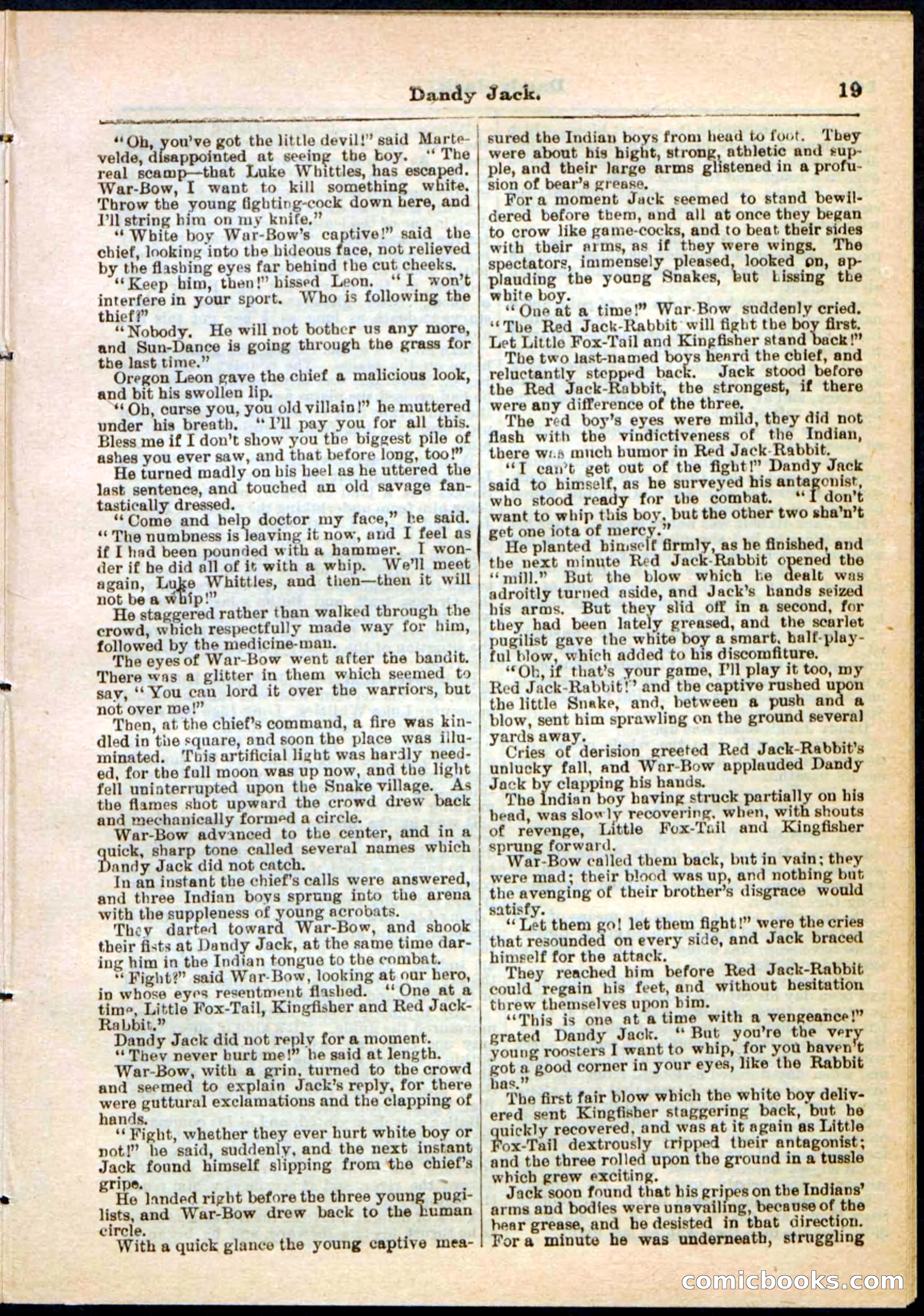 Beadle's Pocket Library No. 48 — page 19 of 32