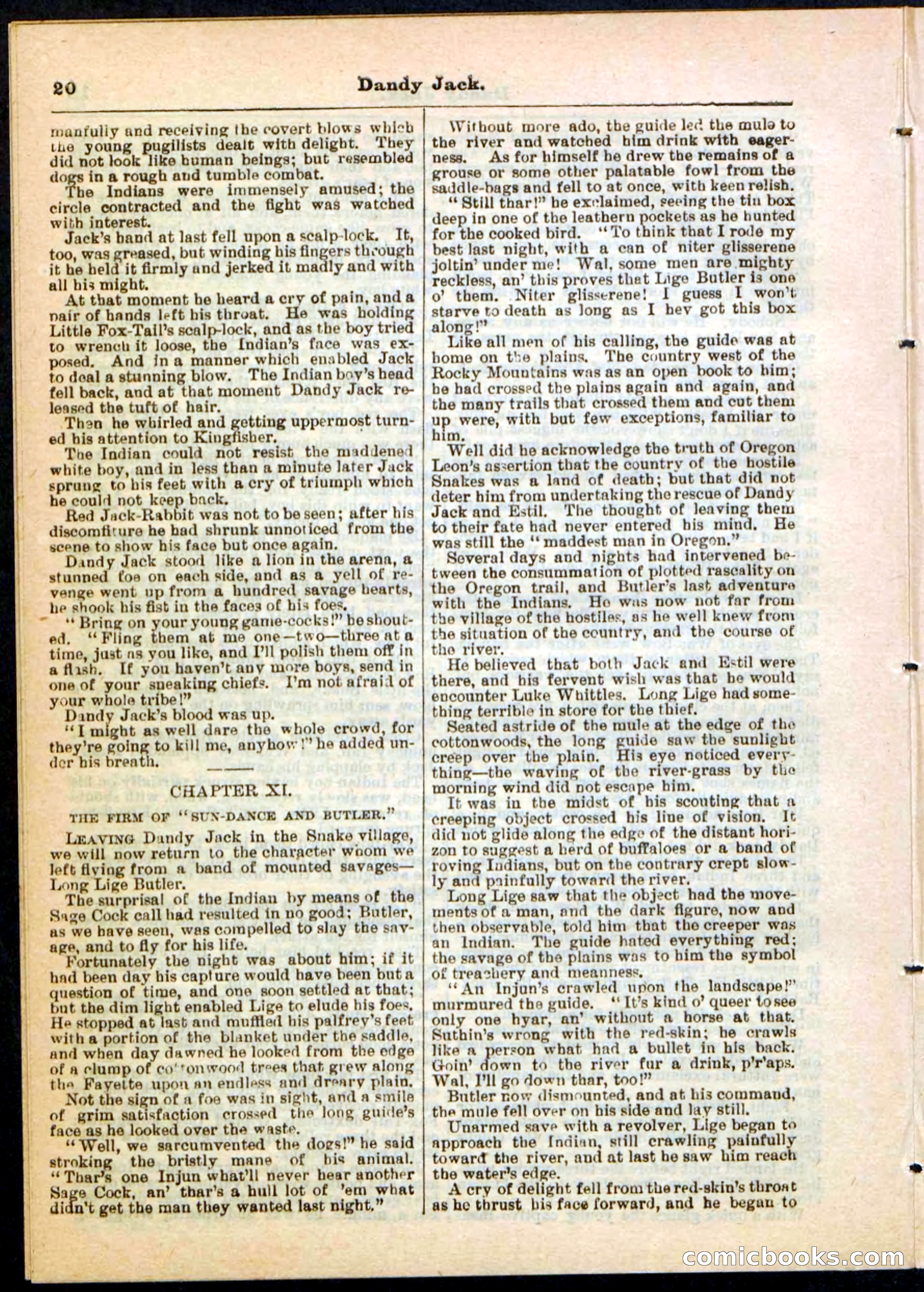 Beadle's Pocket Library No. 48 — page 20 of 32