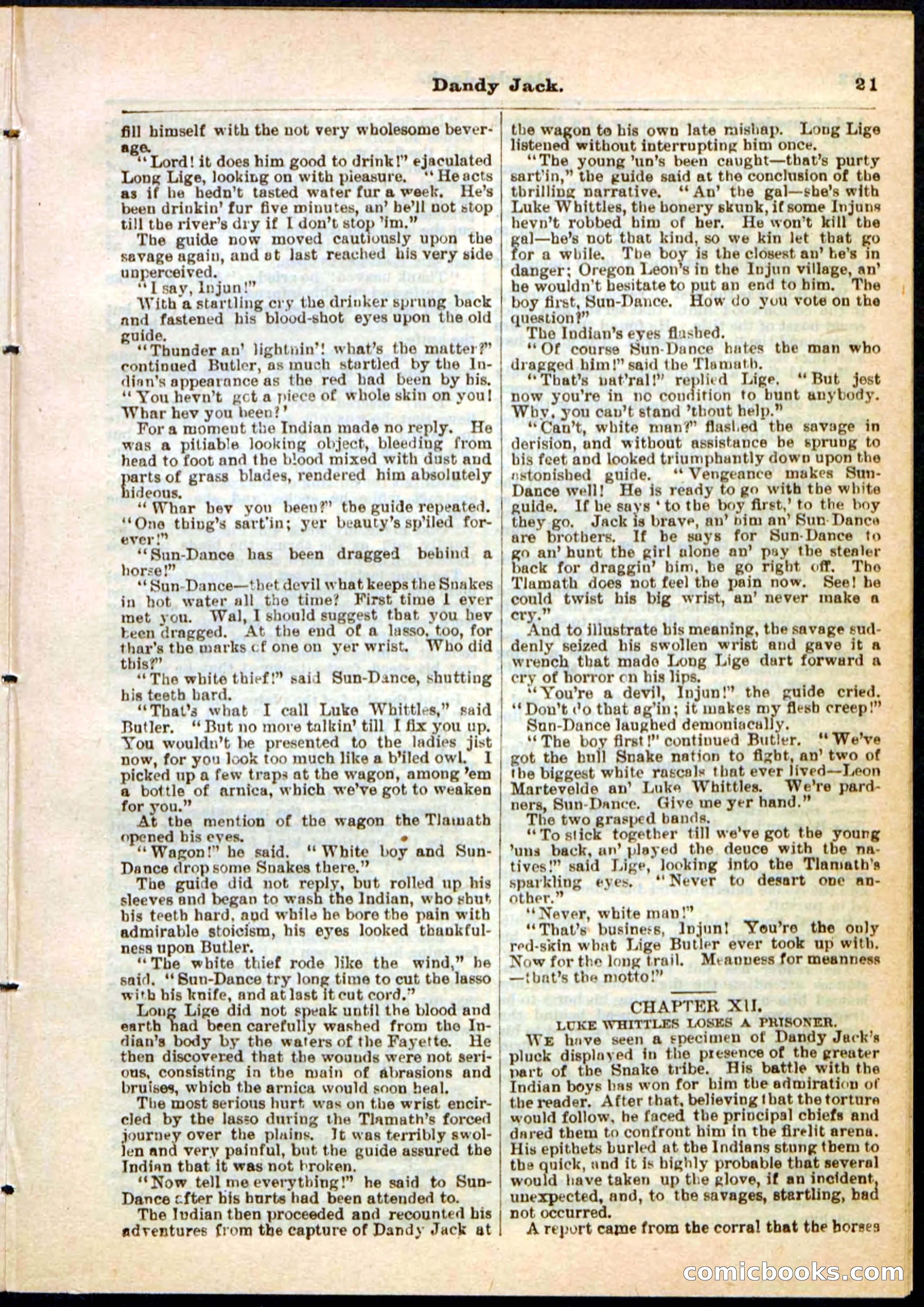 Beadle's Pocket Library No. 48 — page 21 of 32
