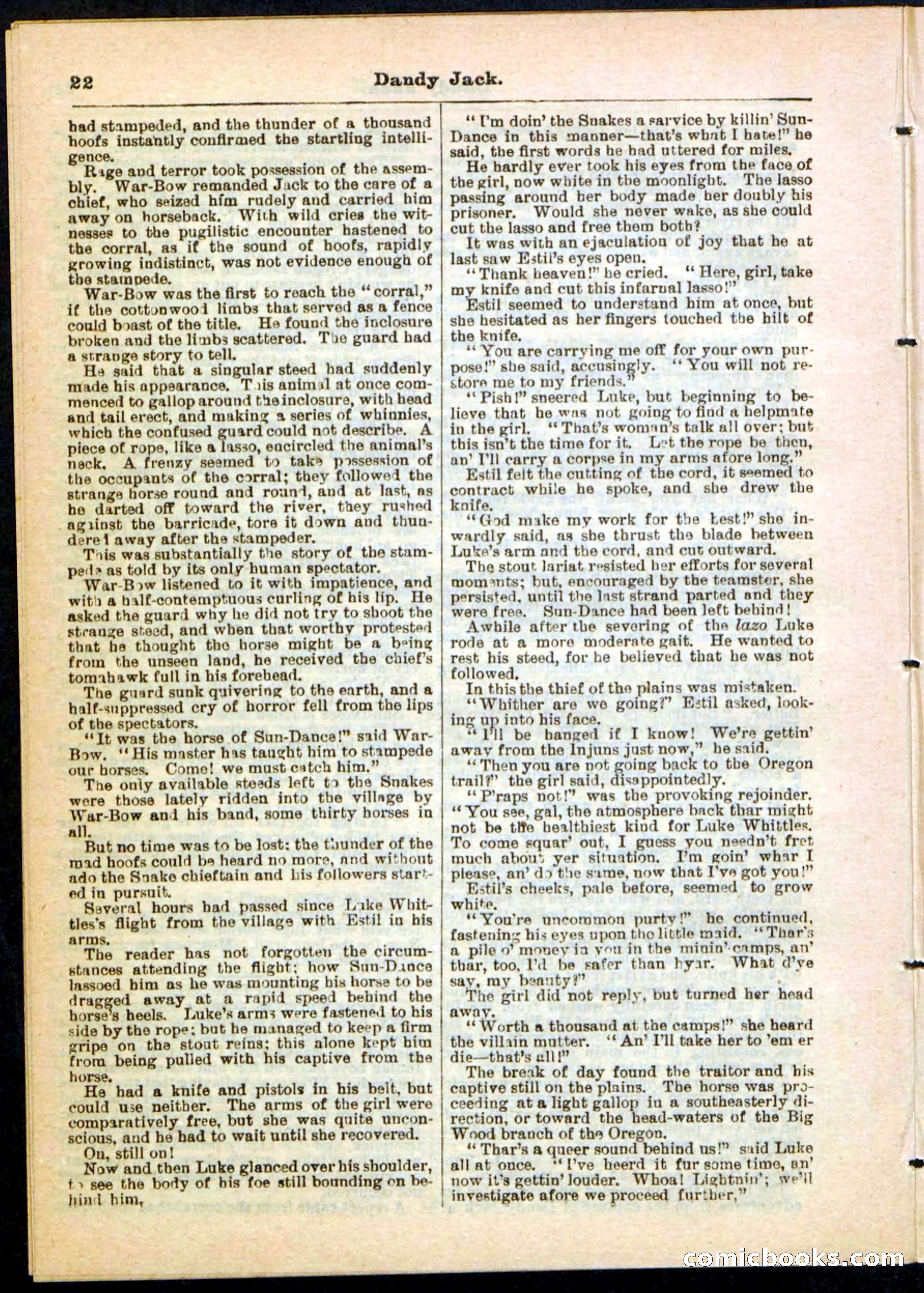 Beadle's Pocket Library No. 48 — page 22 of 32