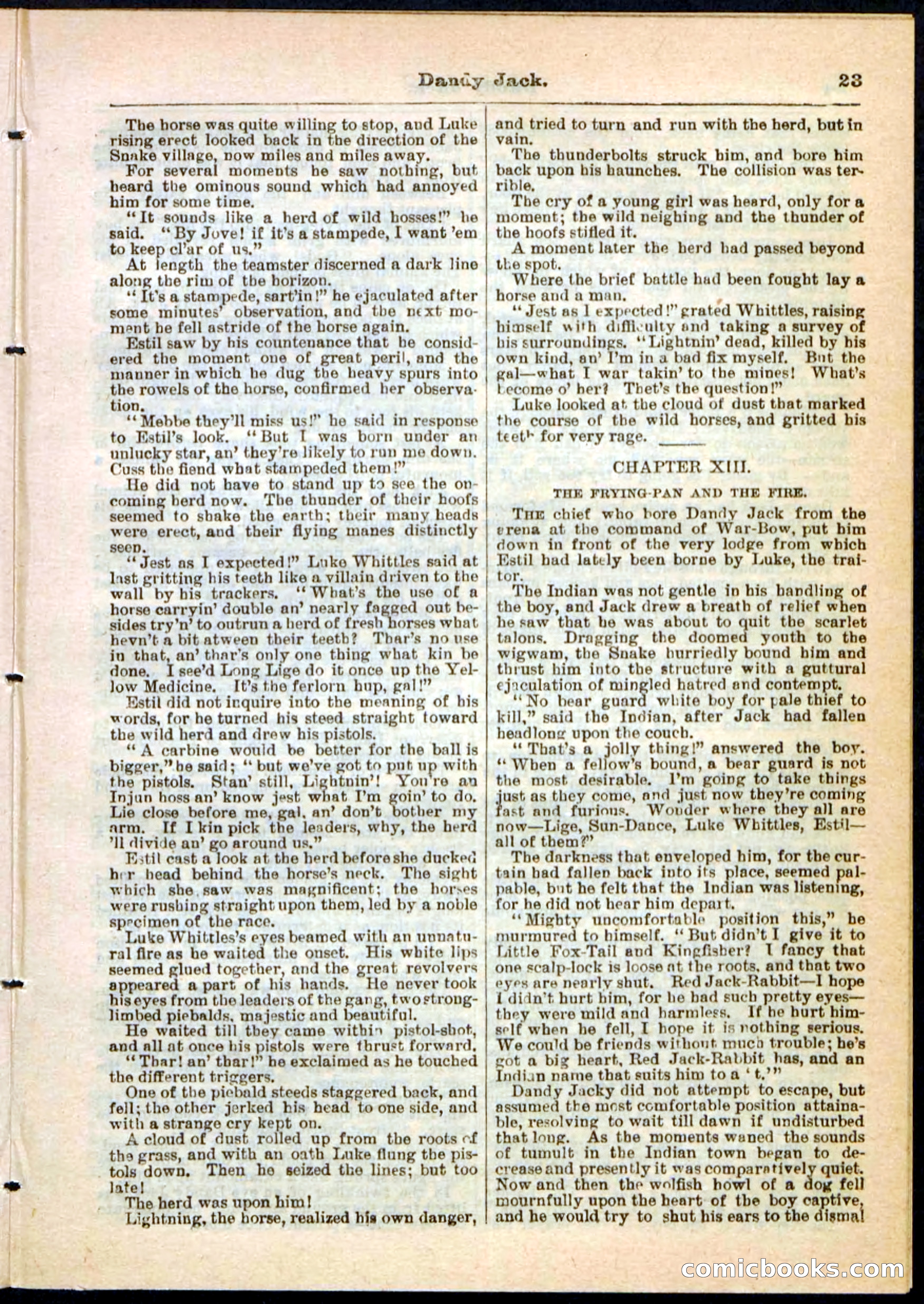 Beadle's Pocket Library No. 48 — page 23 of 32