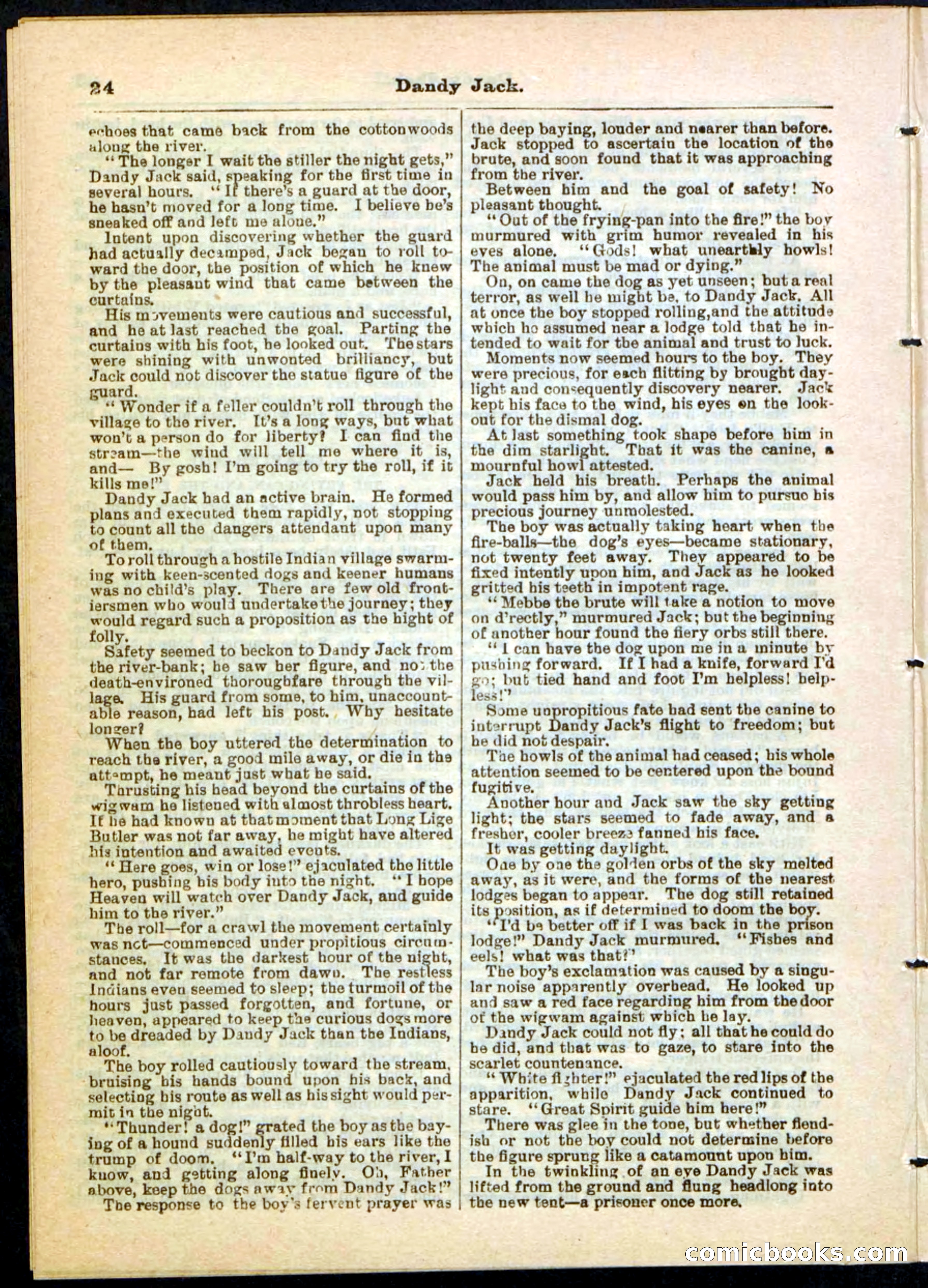Beadle's Pocket Library No. 48 — page 24 of 32