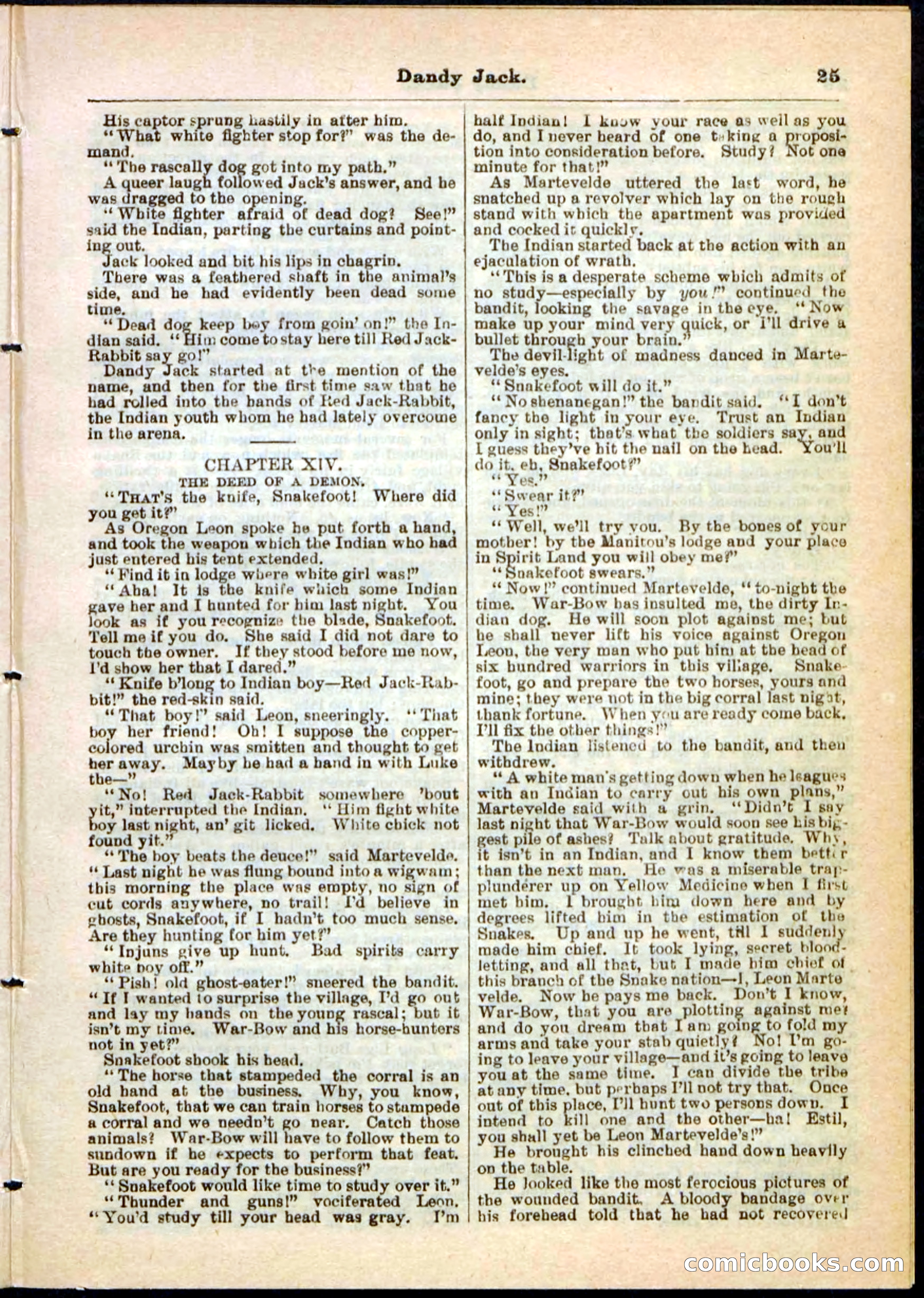 Beadle's Pocket Library No. 48 — page 25 of 32