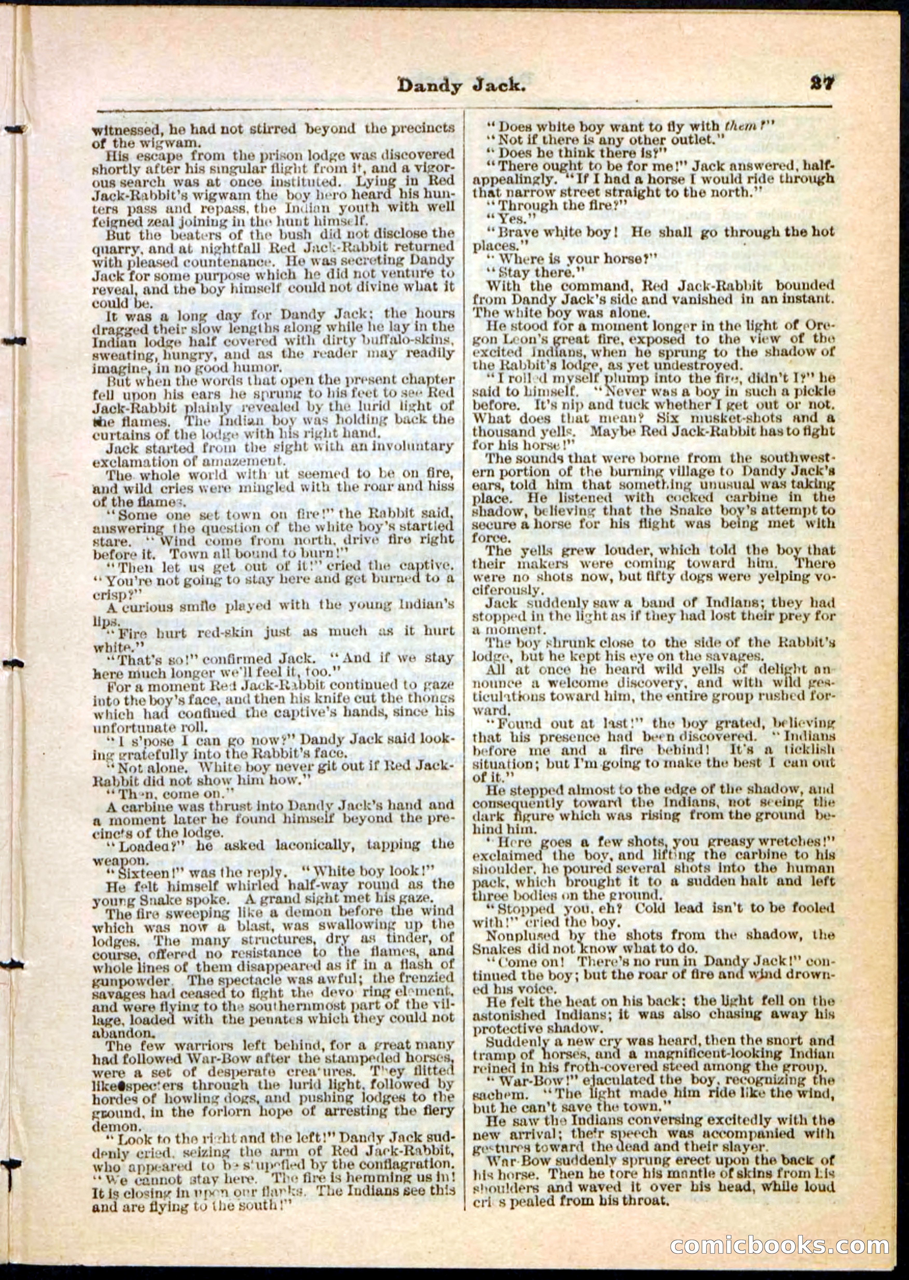 Beadle's Pocket Library No. 48 — page 27 of 32