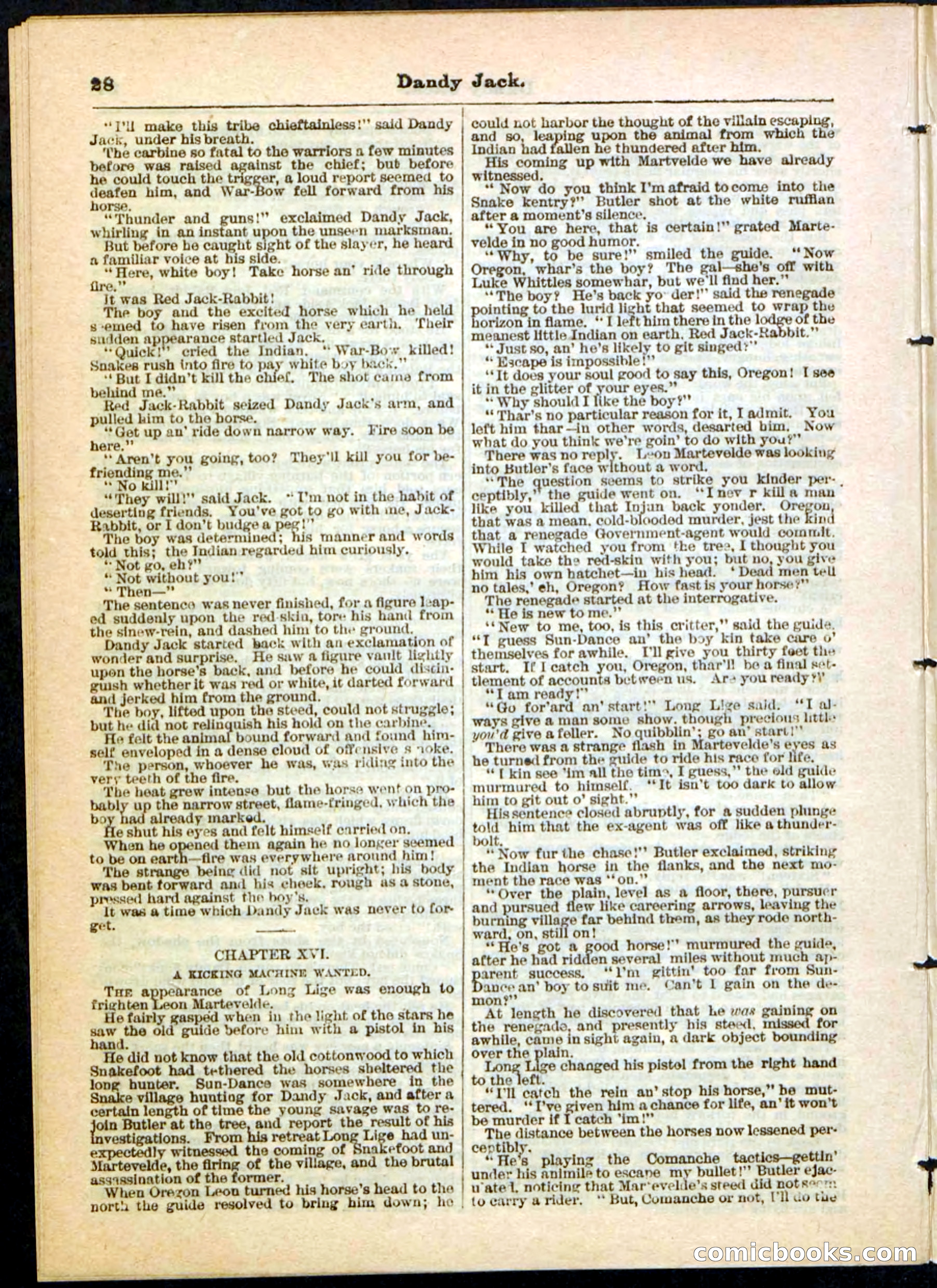 Beadle's Pocket Library No. 48 — page 28 of 32