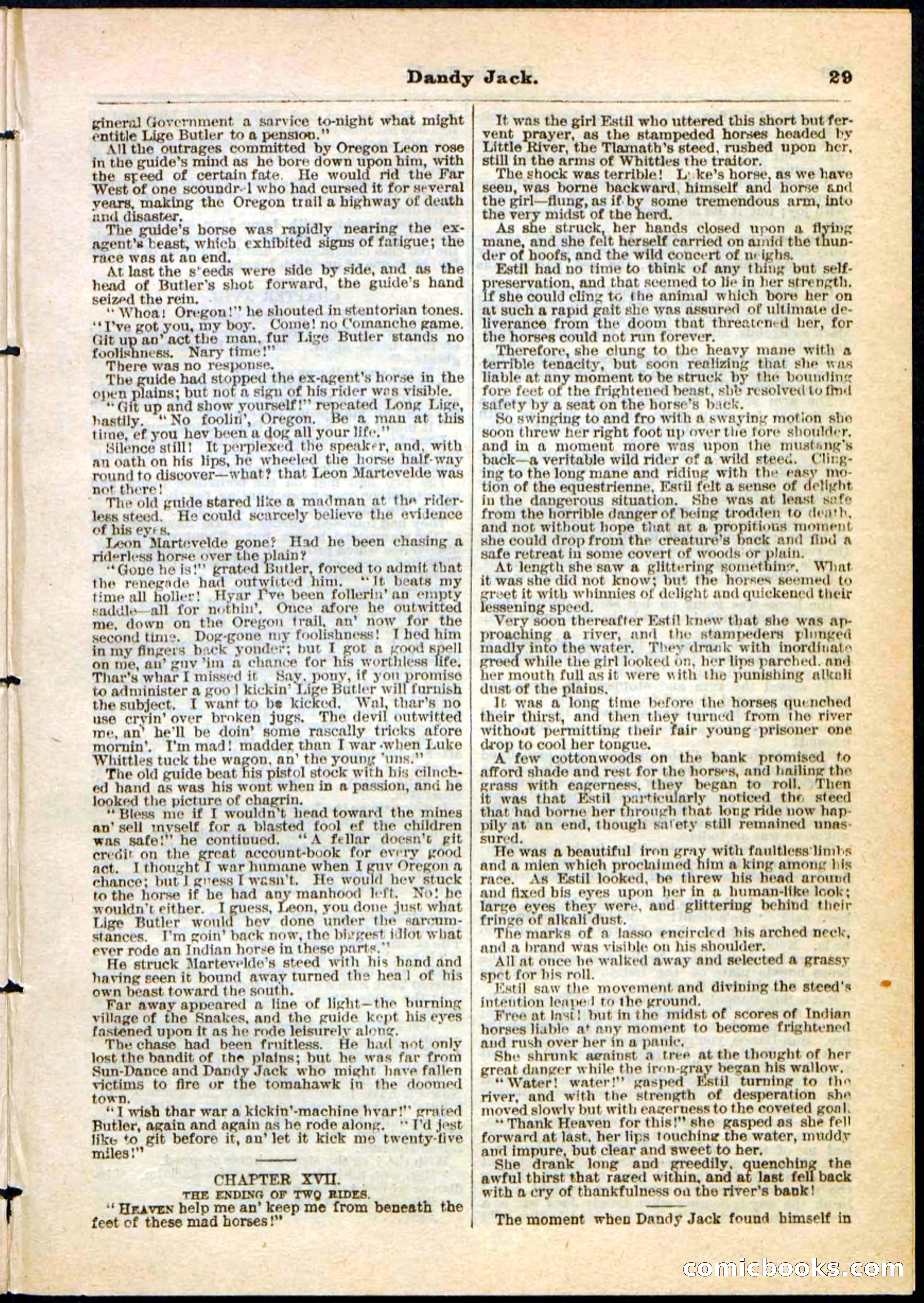 Beadle's Pocket Library No. 48 — page 29 of 32
