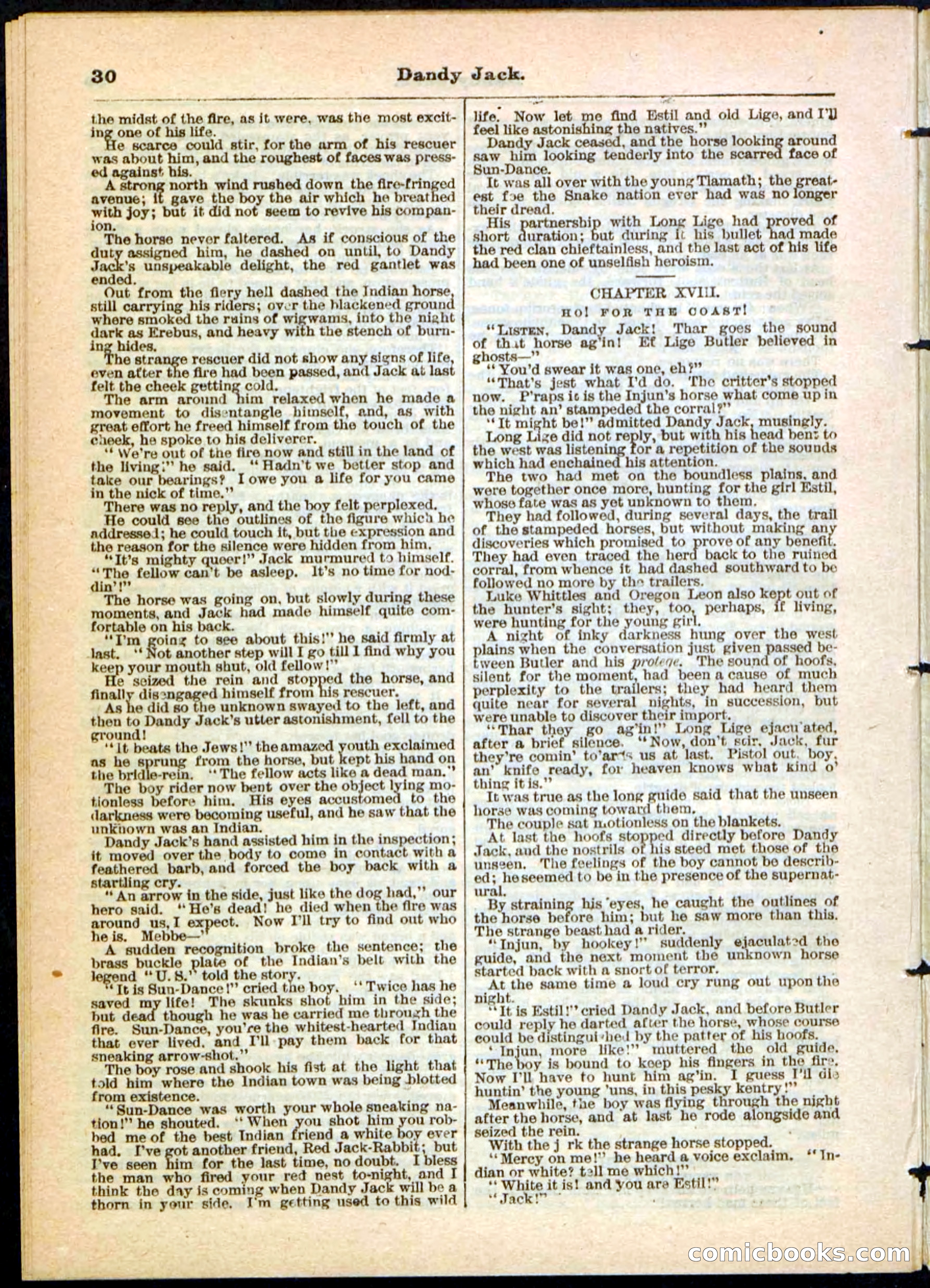 Beadle's Pocket Library No. 48 — page 30 of 32