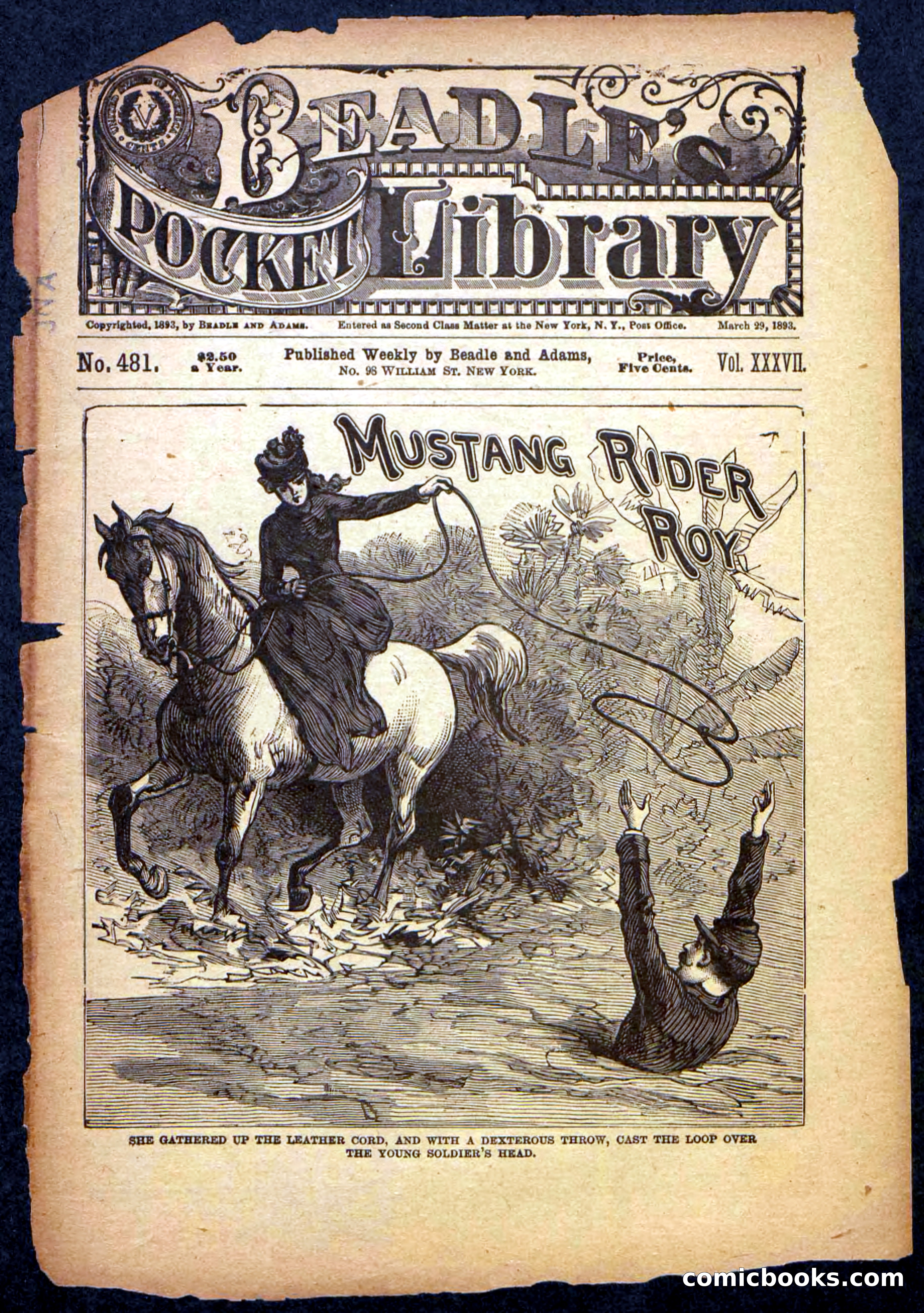 Beadle's Pocket Library No. 481: Mustang Rider Roy