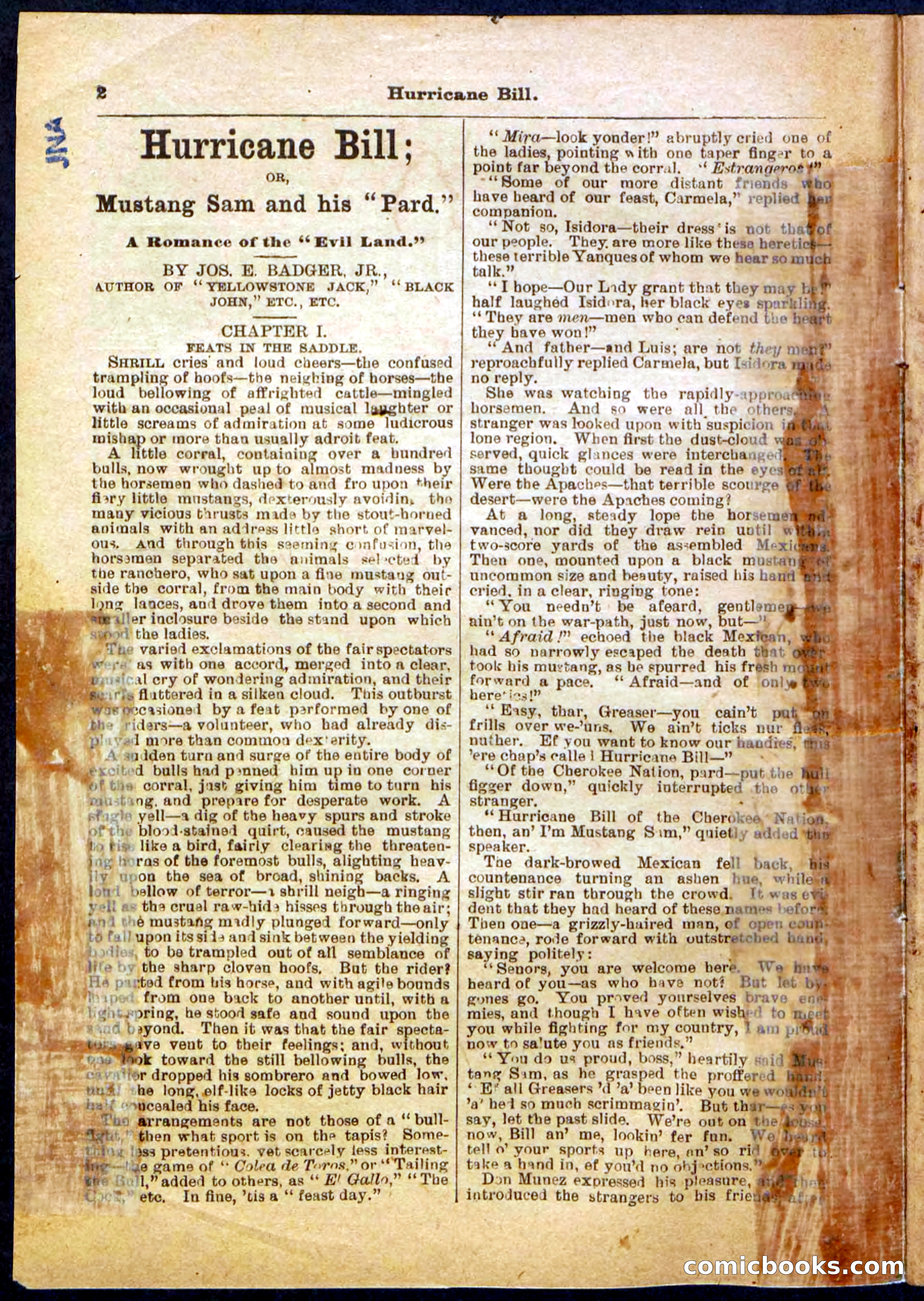 Beadle's Pocket Library, Vol. IV, No. 49 — page 2 of 32